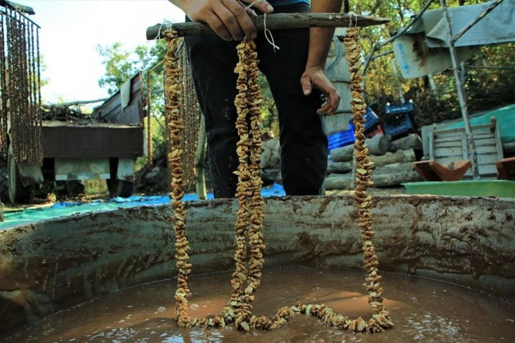 Elazığ'ın tescilli lezzeti 'orcik' için mesai başladı