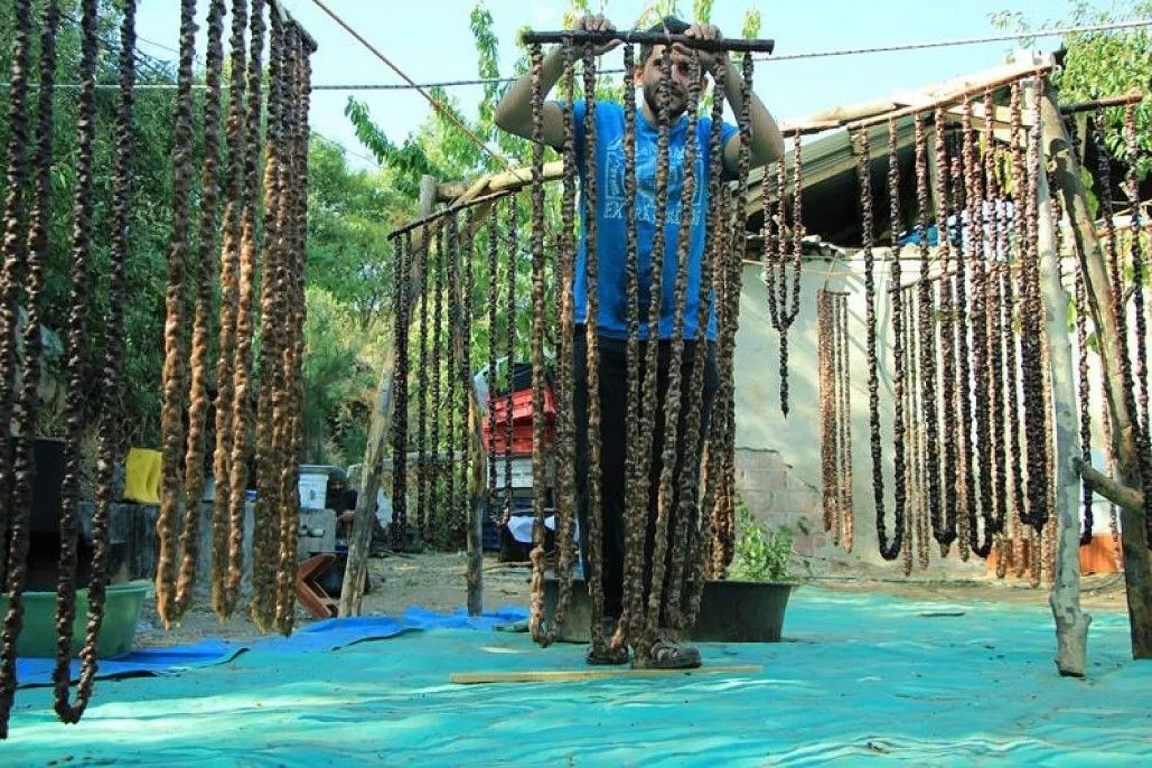 Elazığ'ın tescilli lezzeti 'orcik' için mesai başladı