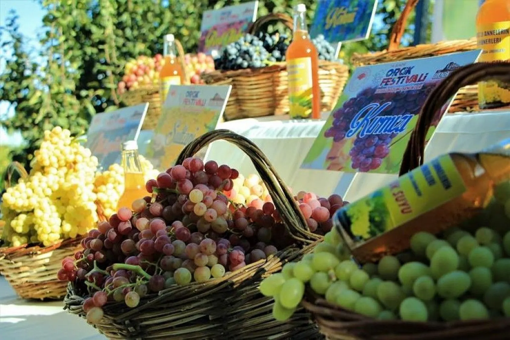 14. Orcik Festivali ve Bağ Bozumu Şenliği düzenlendi