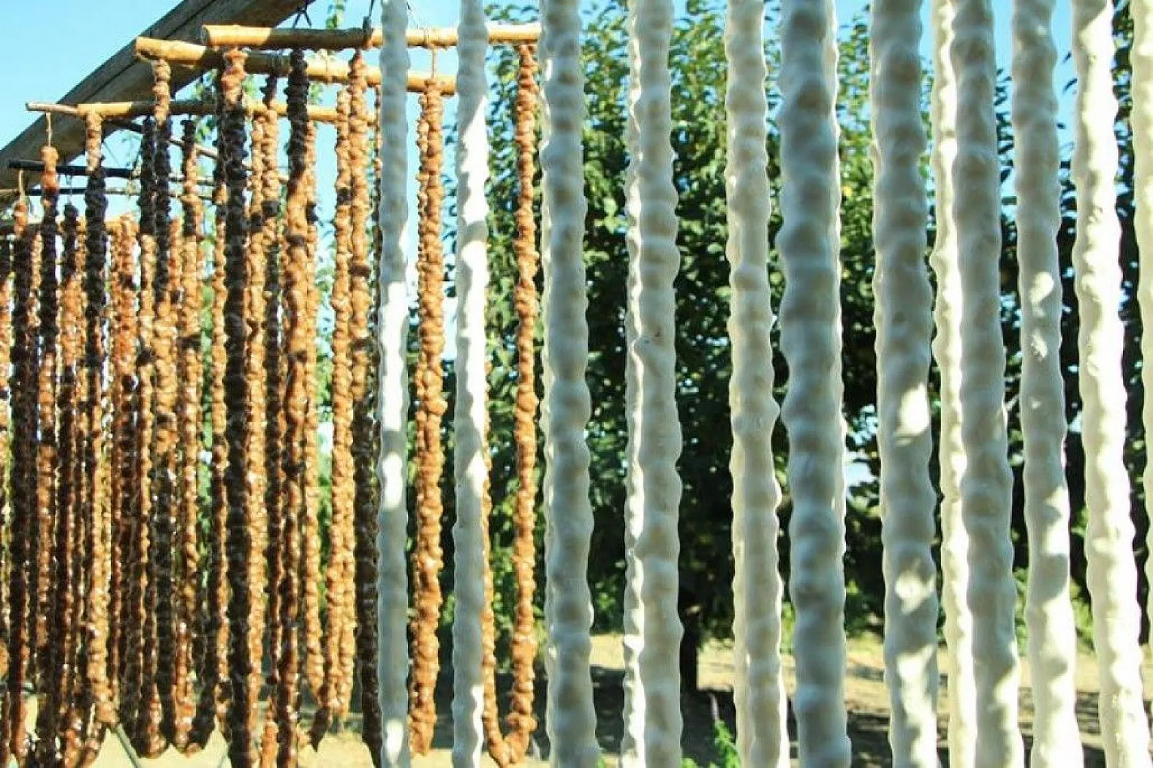 14. Orcik Festivali ve Bağ Bozumu Şenliği düzenlendi