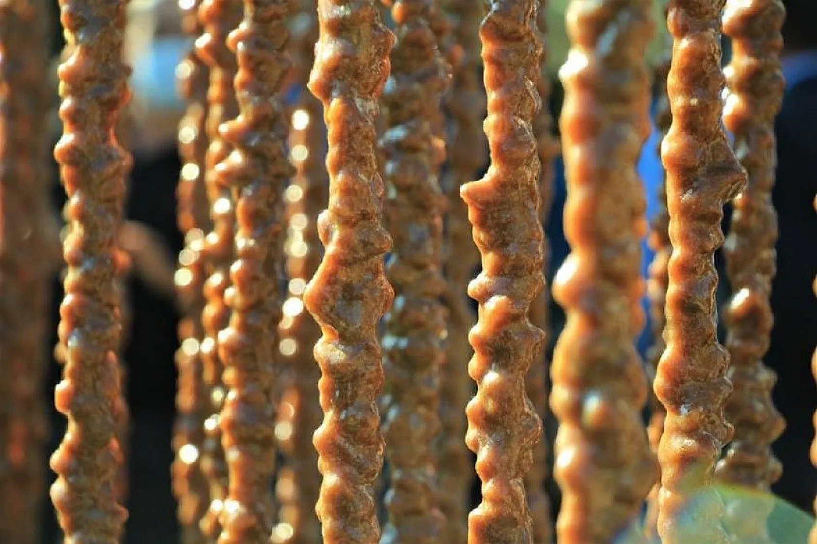 14. Orcik Festivali ve Bağ Bozumu Şenliği düzenlendi