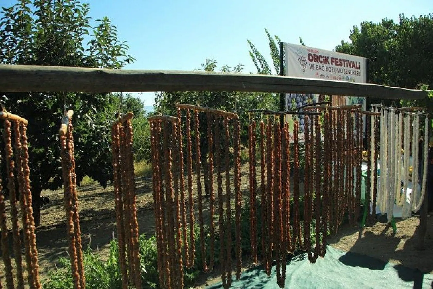 14. Orcik Festivali ve Bağ Bozumu Şenliği düzenlendi