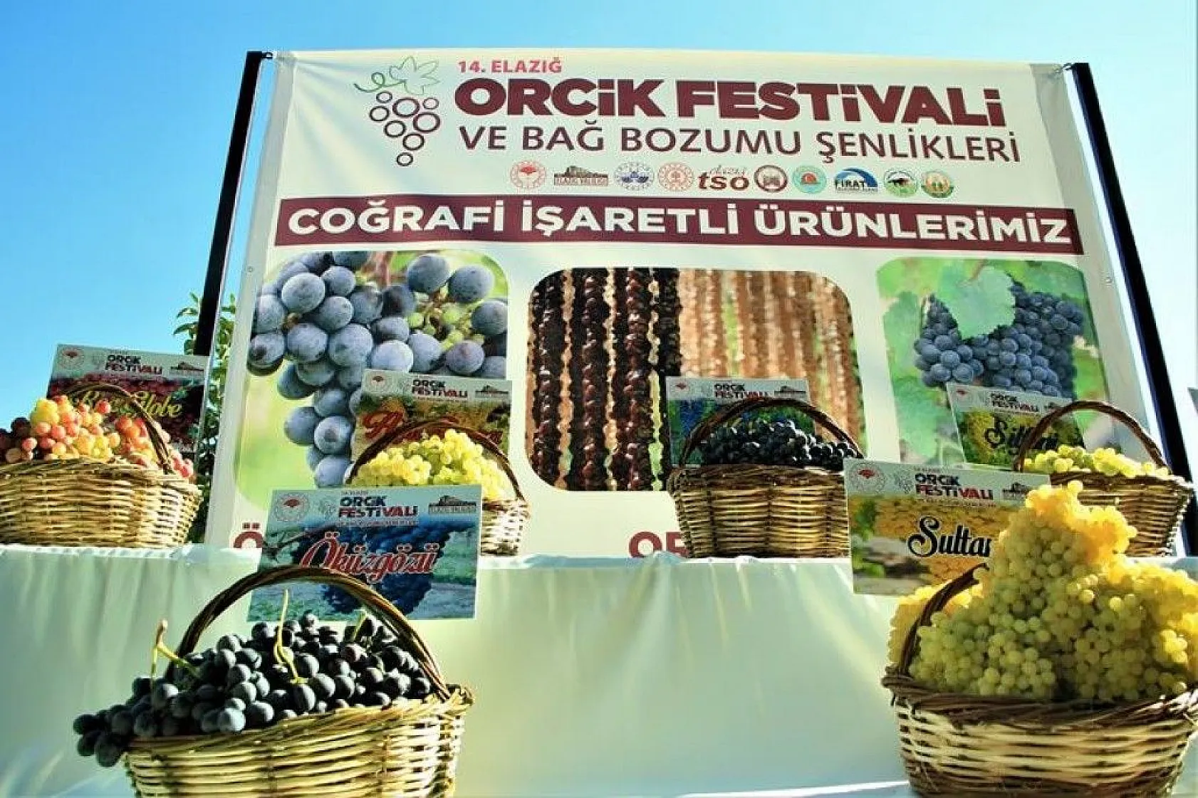 14. Orcik Festivali ve Bağ Bozumu Şenliği düzenlendi