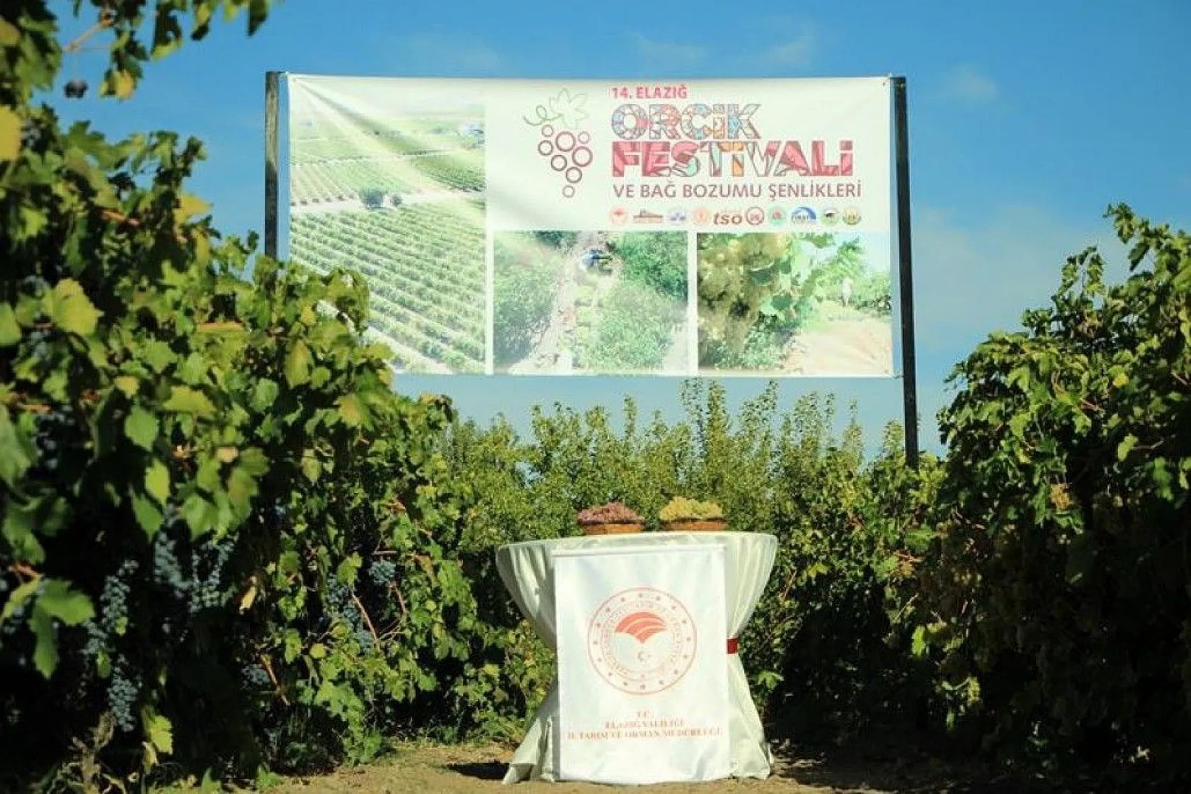 14. Orcik Festivali ve Bağ Bozumu Şenliği düzenlendi