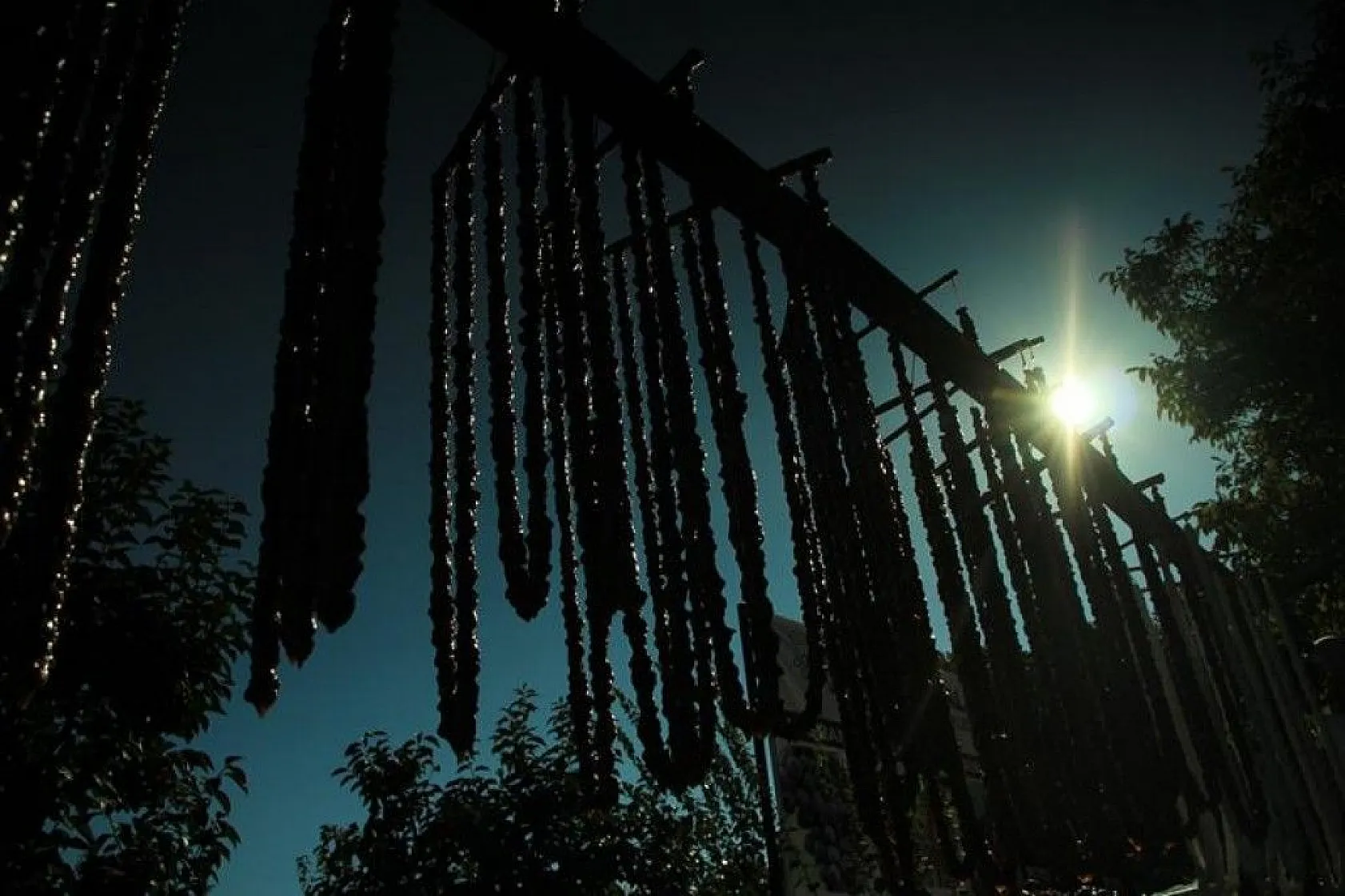 14. Orcik Festivali ve Bağ Bozumu Şenliği düzenlendi