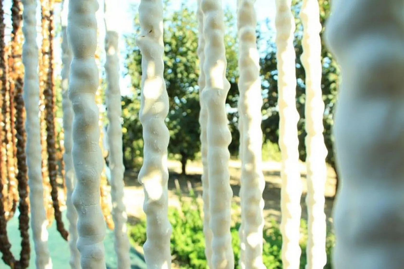 14. Orcik Festivali ve Bağ Bozumu Şenliği düzenlendi