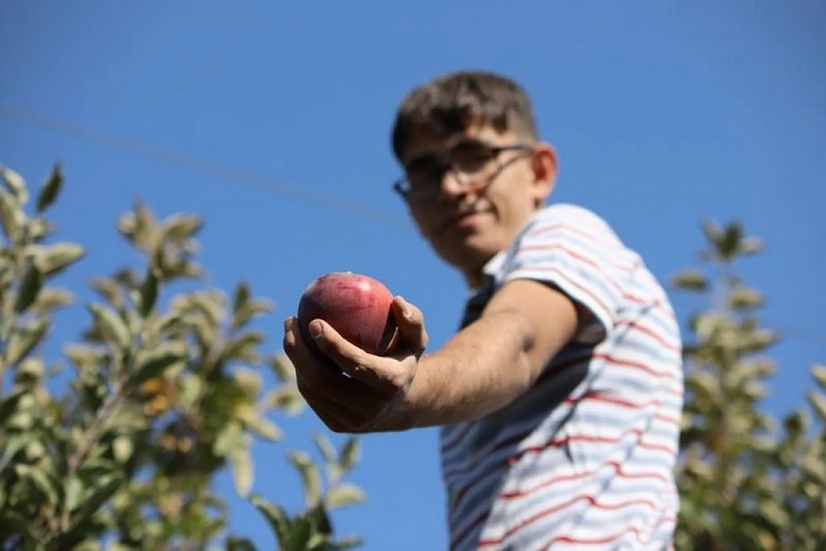 Memurluğu bıraktı, modern tarımla kendi işinin patronu oldu