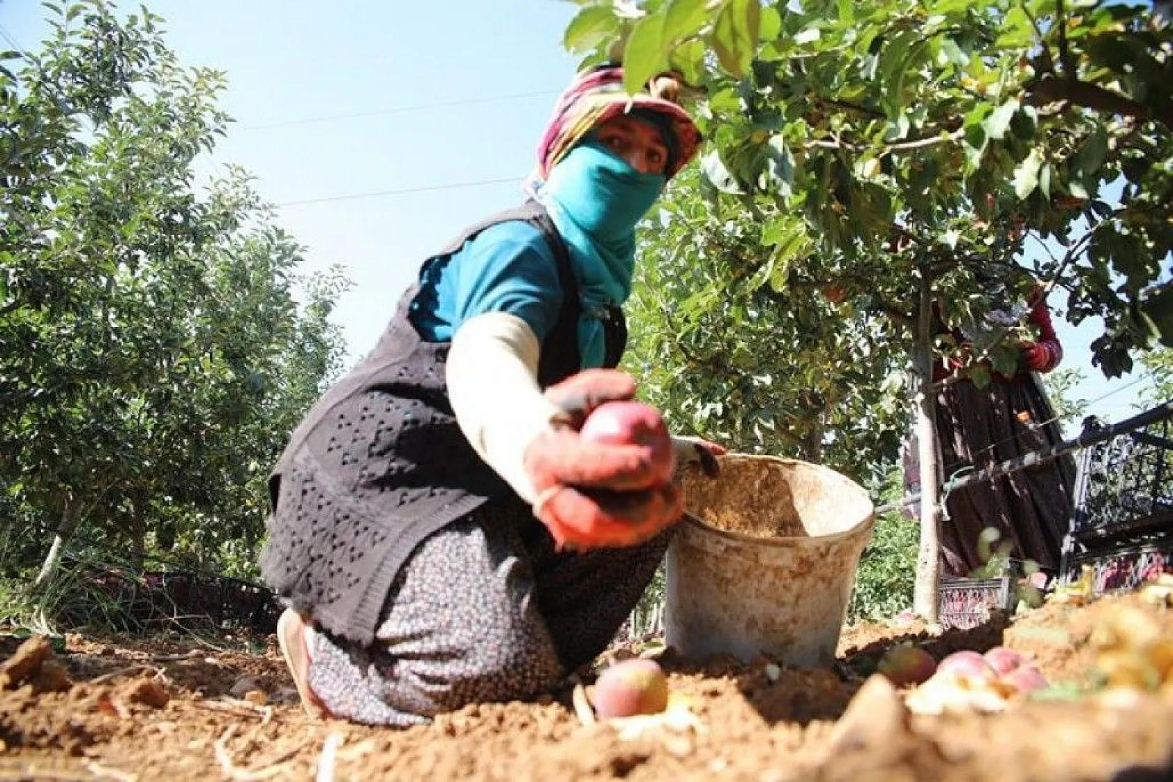 Memurluğu bıraktı, modern tarımla kendi işinin patronu oldu