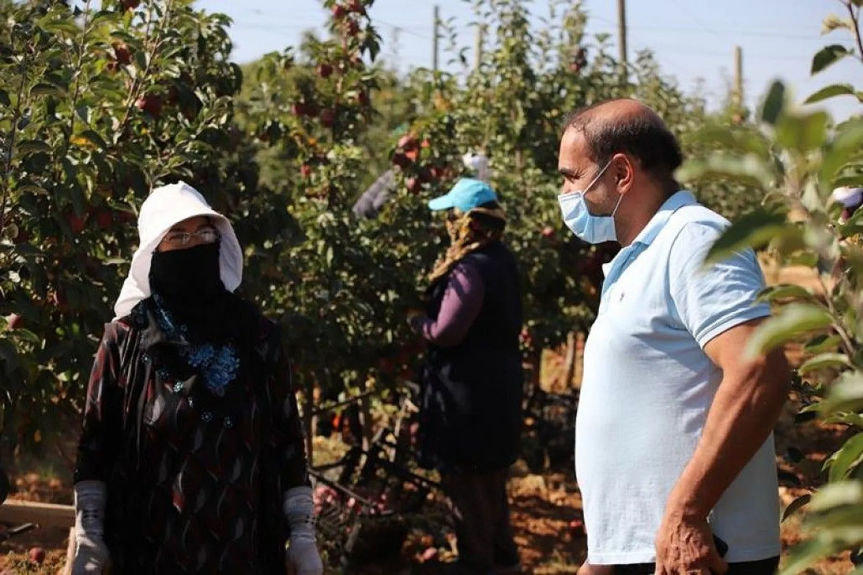 Memurluğu bıraktı, modern tarımla kendi işinin patronu oldu