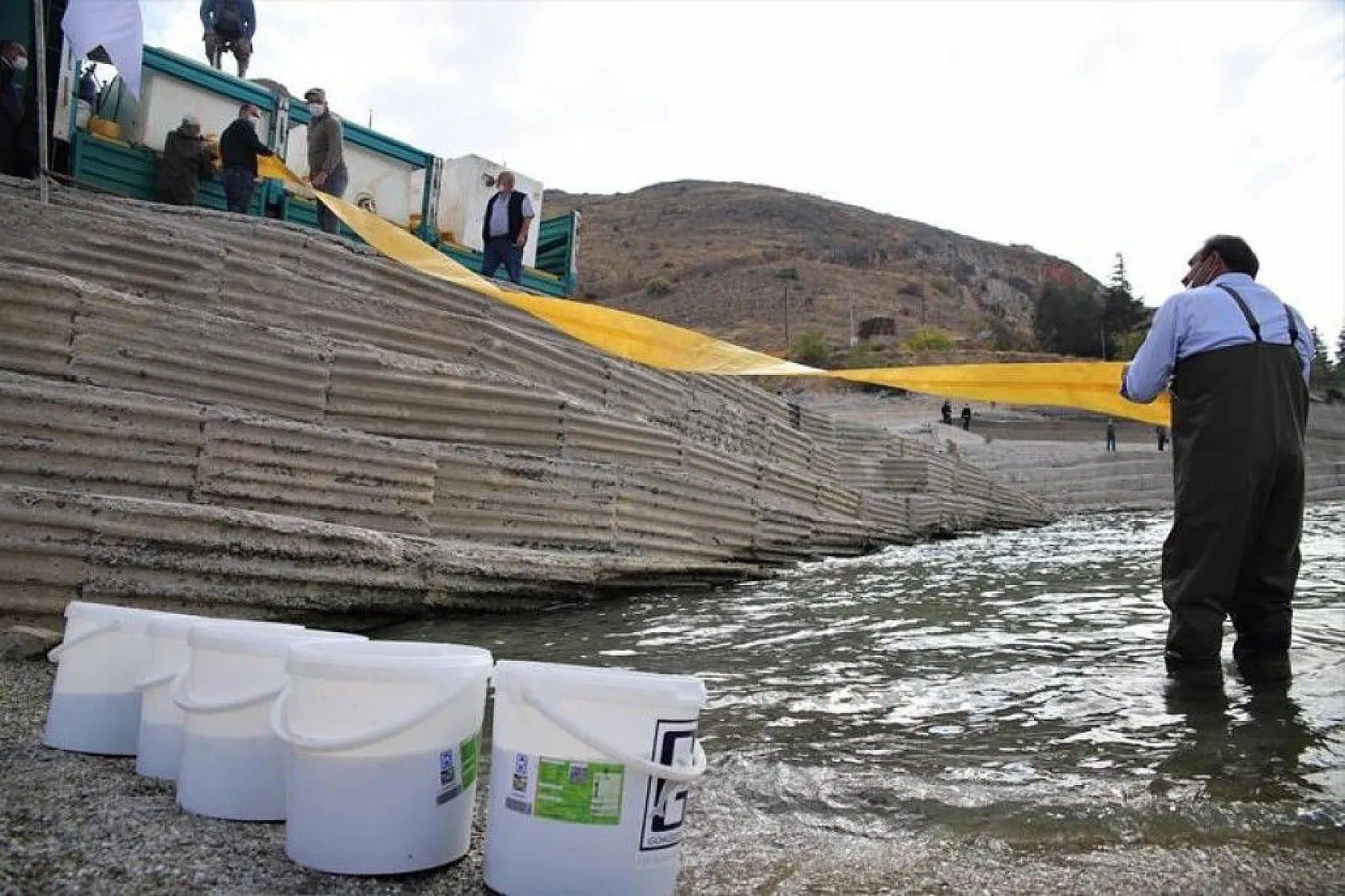 97. yıl anısına 970 bin adet balık yavrusu Keban Barajı'na bırakıldı