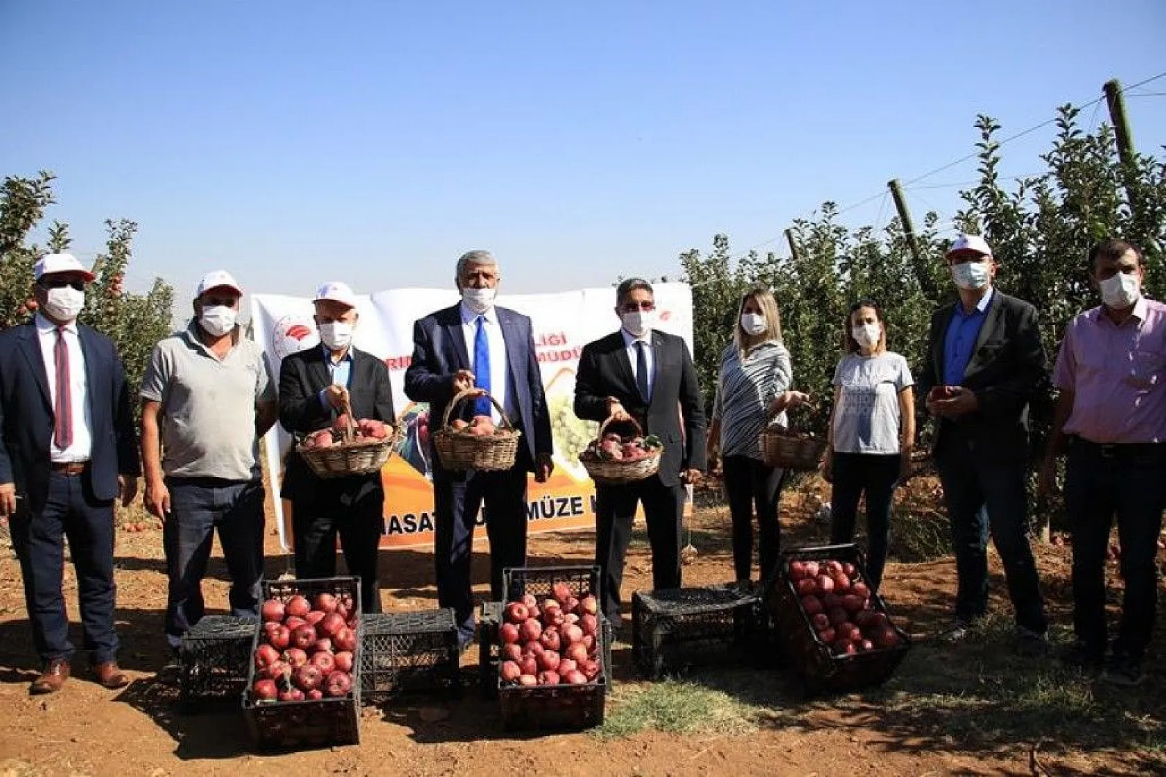 Bir çok tarım ürünü ile ön plana çıkan Elazığ'da, kırmızı elmanın hasadı başladı