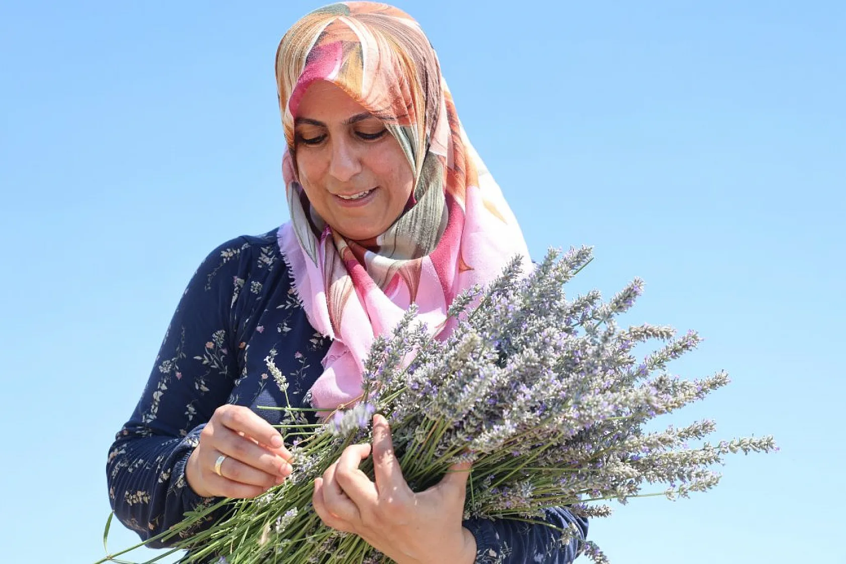 Gelin ve görümce'den lavanta yatırımı: Elazığ'da 12 dönümde üçüncü hasat