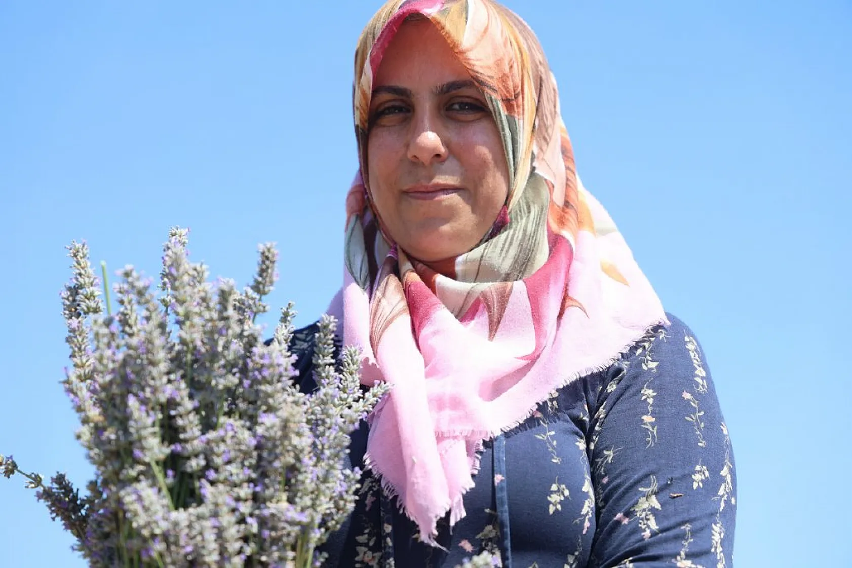 Gelin ve görümce'den lavanta yatırımı: Elazığ'da 12 dönümde üçüncü hasat