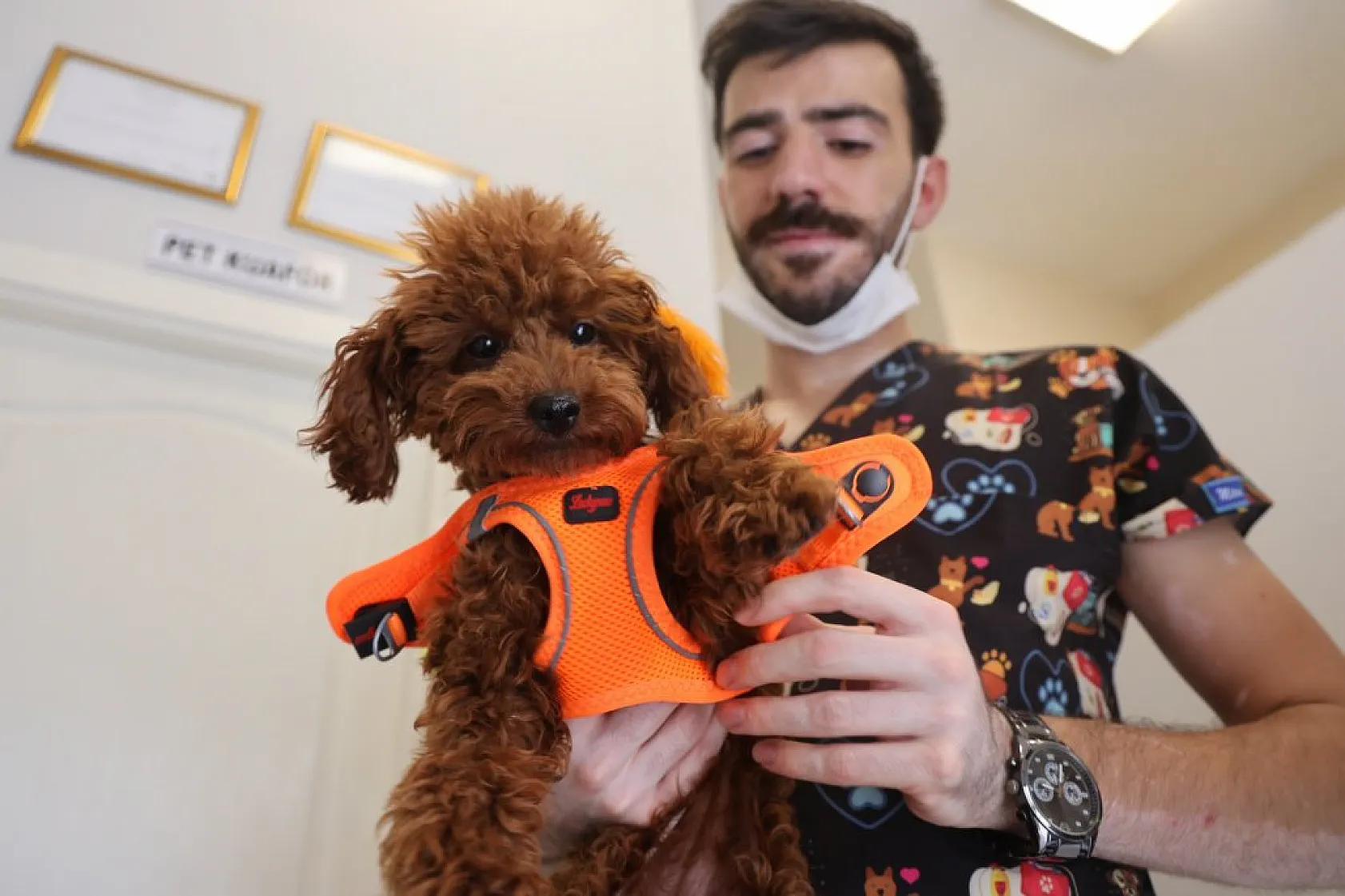 Elazığ'da bölgenin ilk ve tek pet kuaförüne yoğun ilgi!