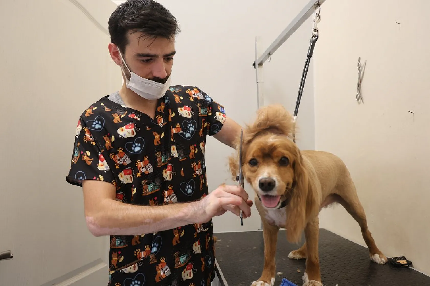 Elazığ'da bölgenin ilk ve tek pet kuaförüne yoğun ilgi!