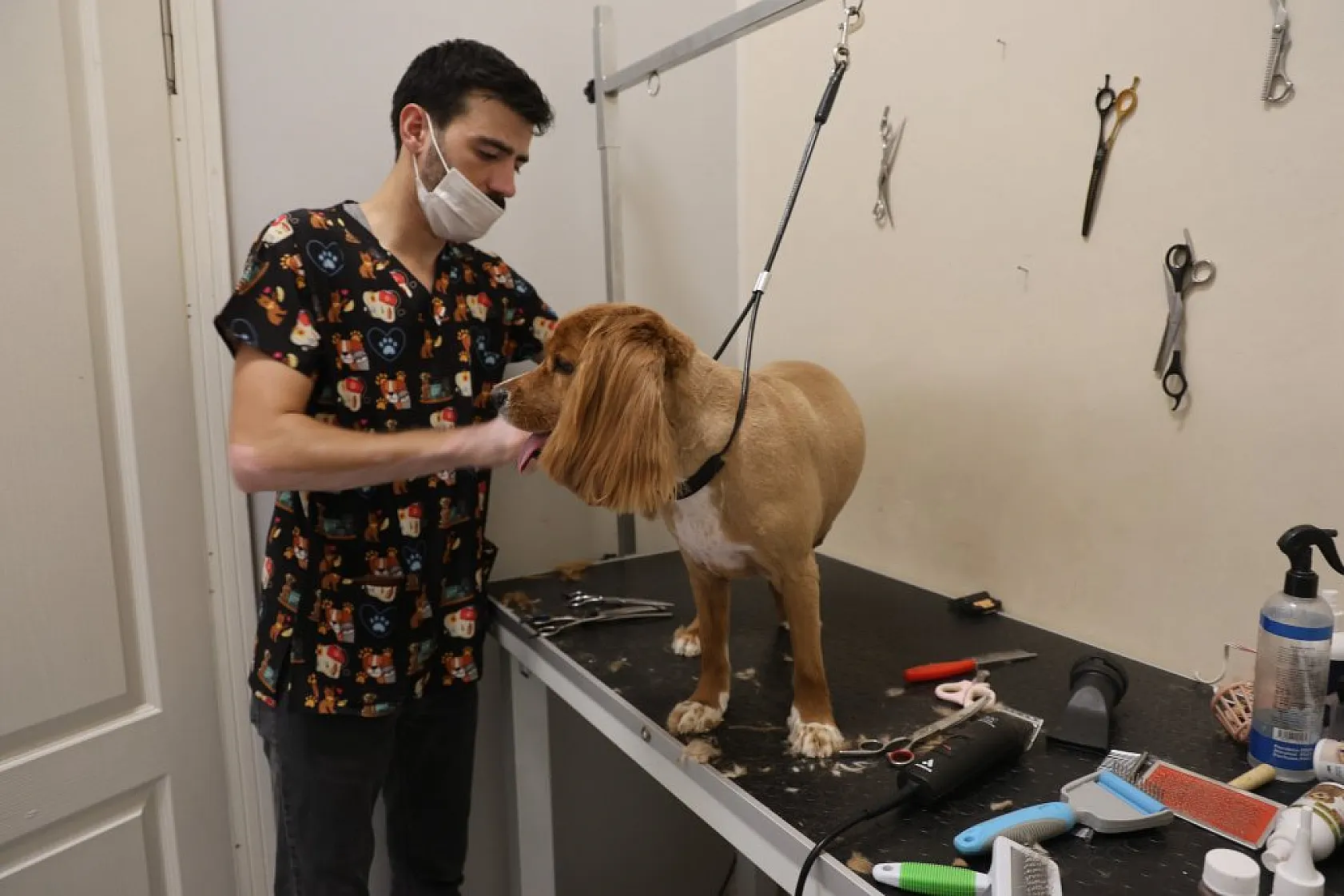 Elazığ'da bölgenin ilk ve tek pet kuaförüne yoğun ilgi!