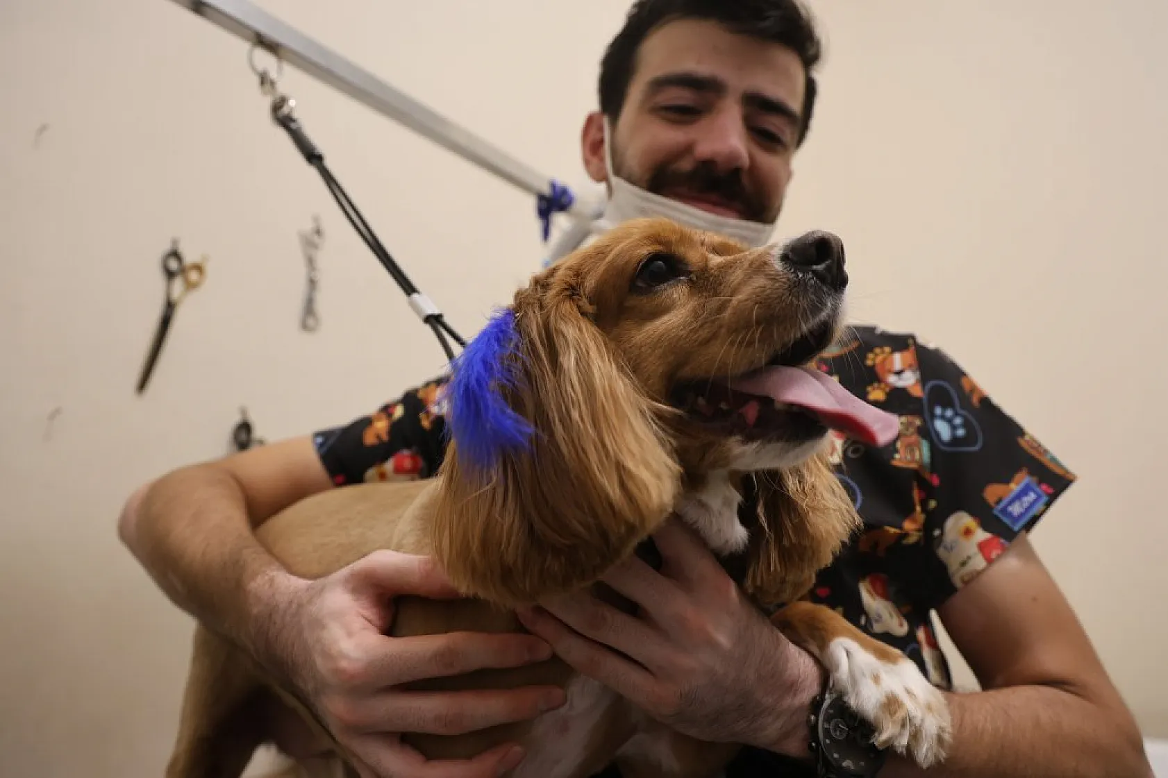 Elazığ'da bölgenin ilk ve tek pet kuaförüne yoğun ilgi!