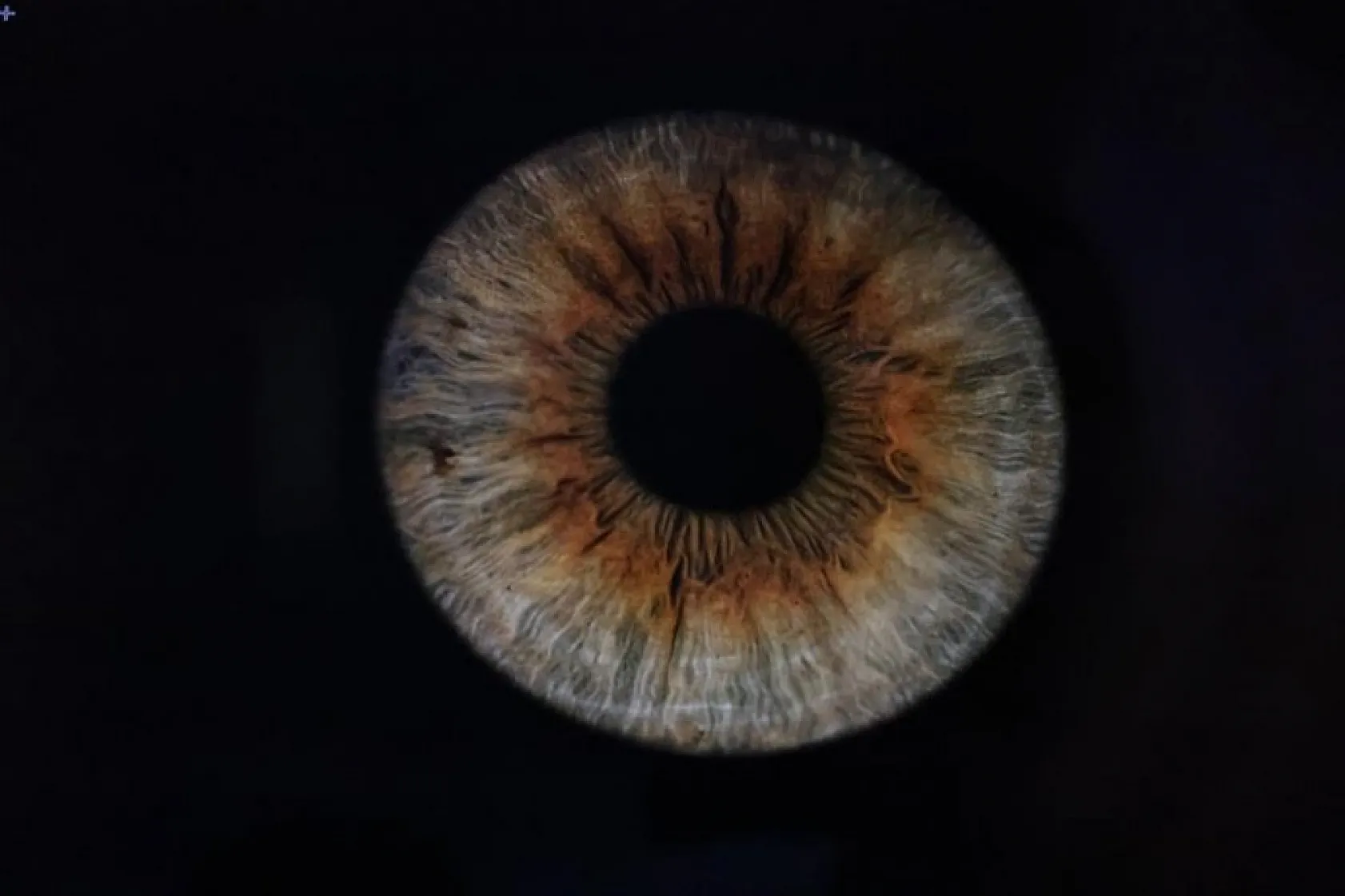 Fotoğrafçılığa hobi olarak başladı, şimdi taleplere yetişemiyor!