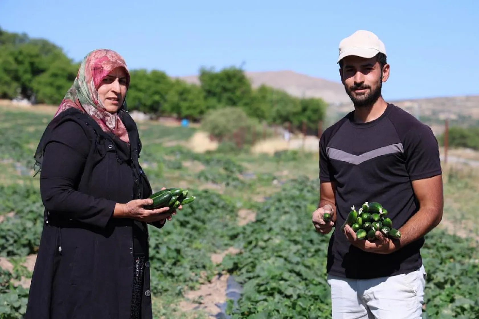 Elazığ'da Örnek Girişim: Doğal Salatalıkla Hem Geçim Hem Eğitim!