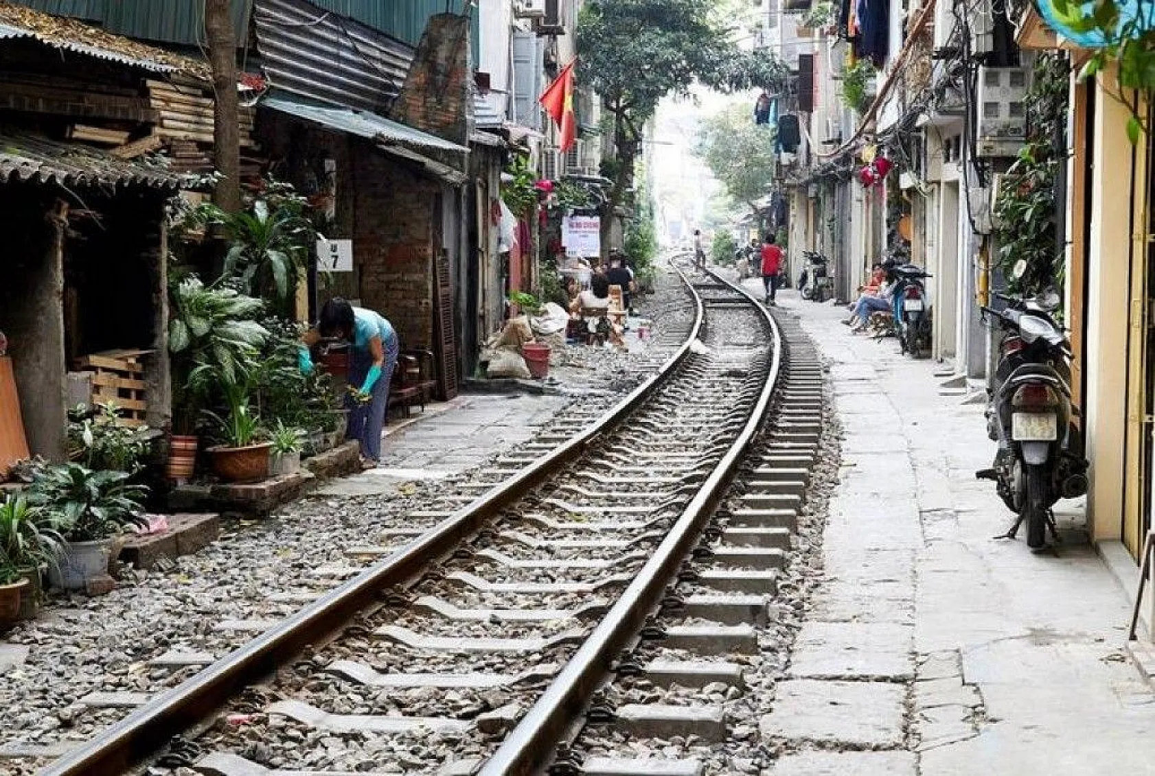 Bilim insanlarından ilginç bilgiler, 1939'da keşfedilmişti, sonunda sırrı çözüldü