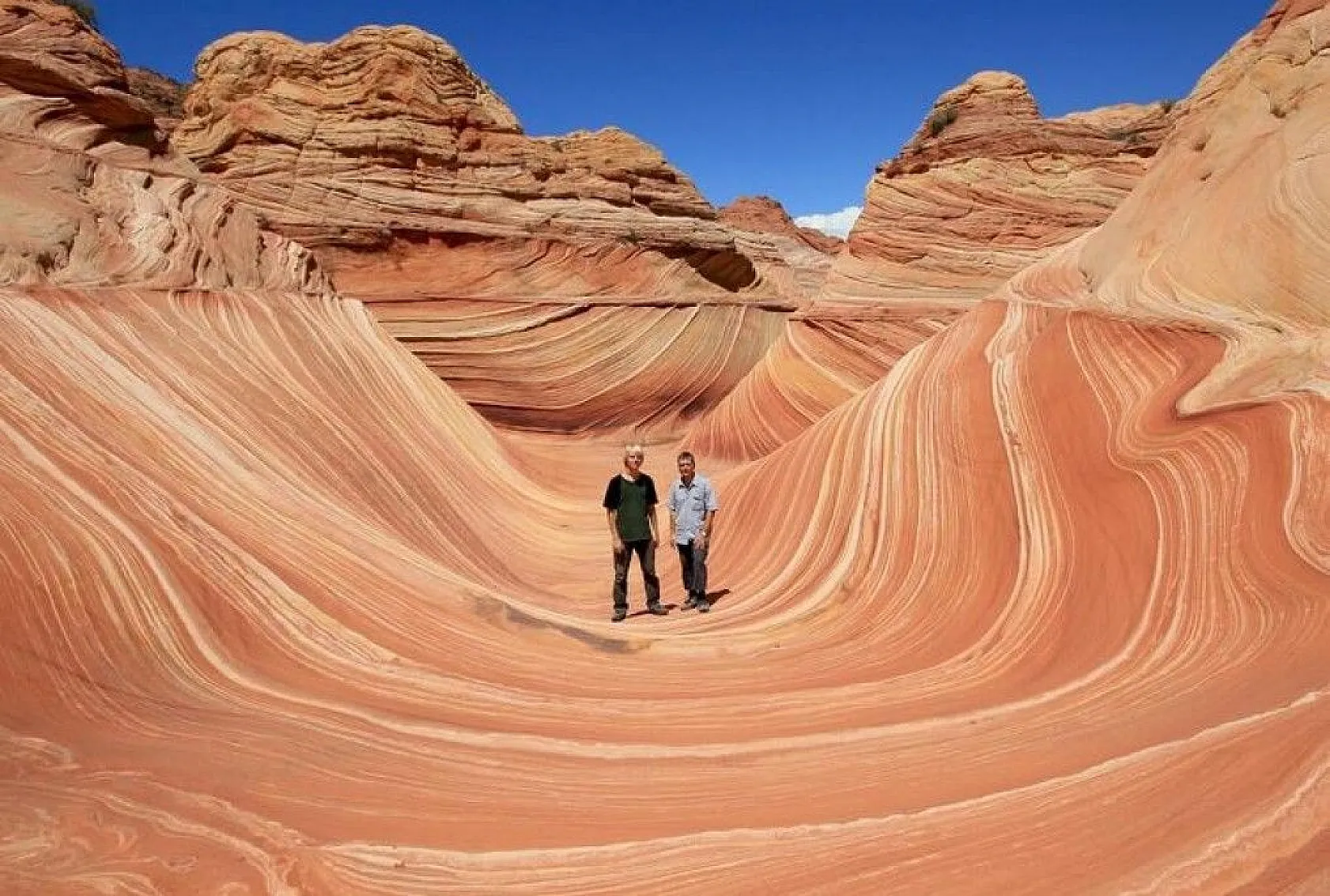 Bilim insanlarından ilginç bilgiler, 1939'da keşfedilmişti, sonunda sırrı çözüldü