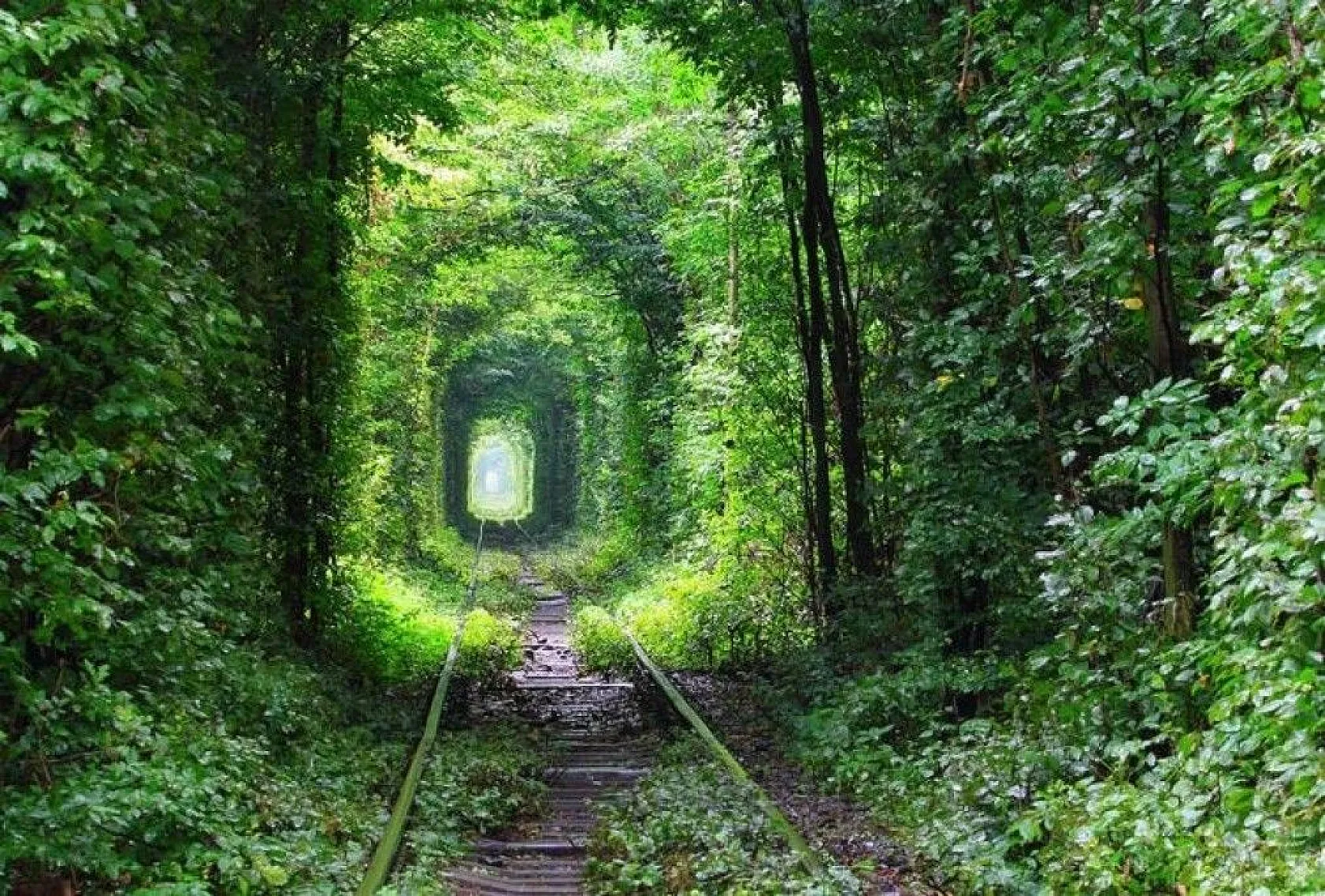 Bilim insanlarından ilginç bilgiler, 1939'da keşfedilmişti, sonunda sırrı çözüldü