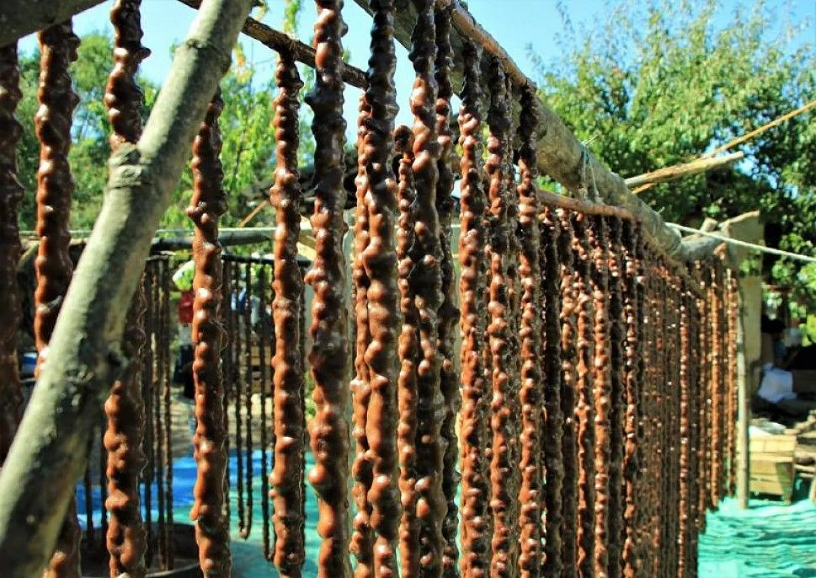 Elazığ'ın tescilli lezzeti 'orcik' için mesai başladı