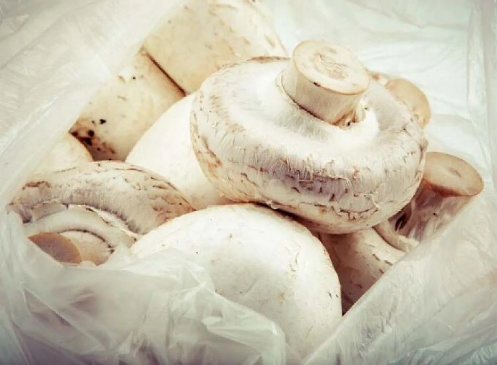 İşte yağ yakıcı süper besinler