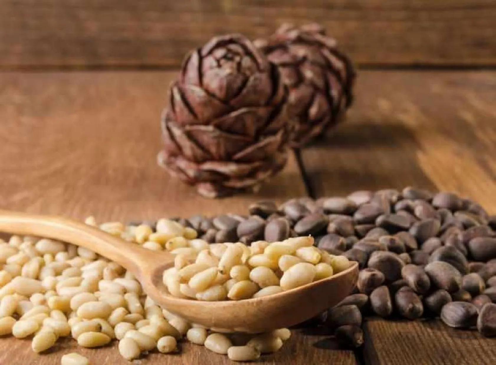 İşte İbn-i Sina'nın mucize tavsiyeleri!