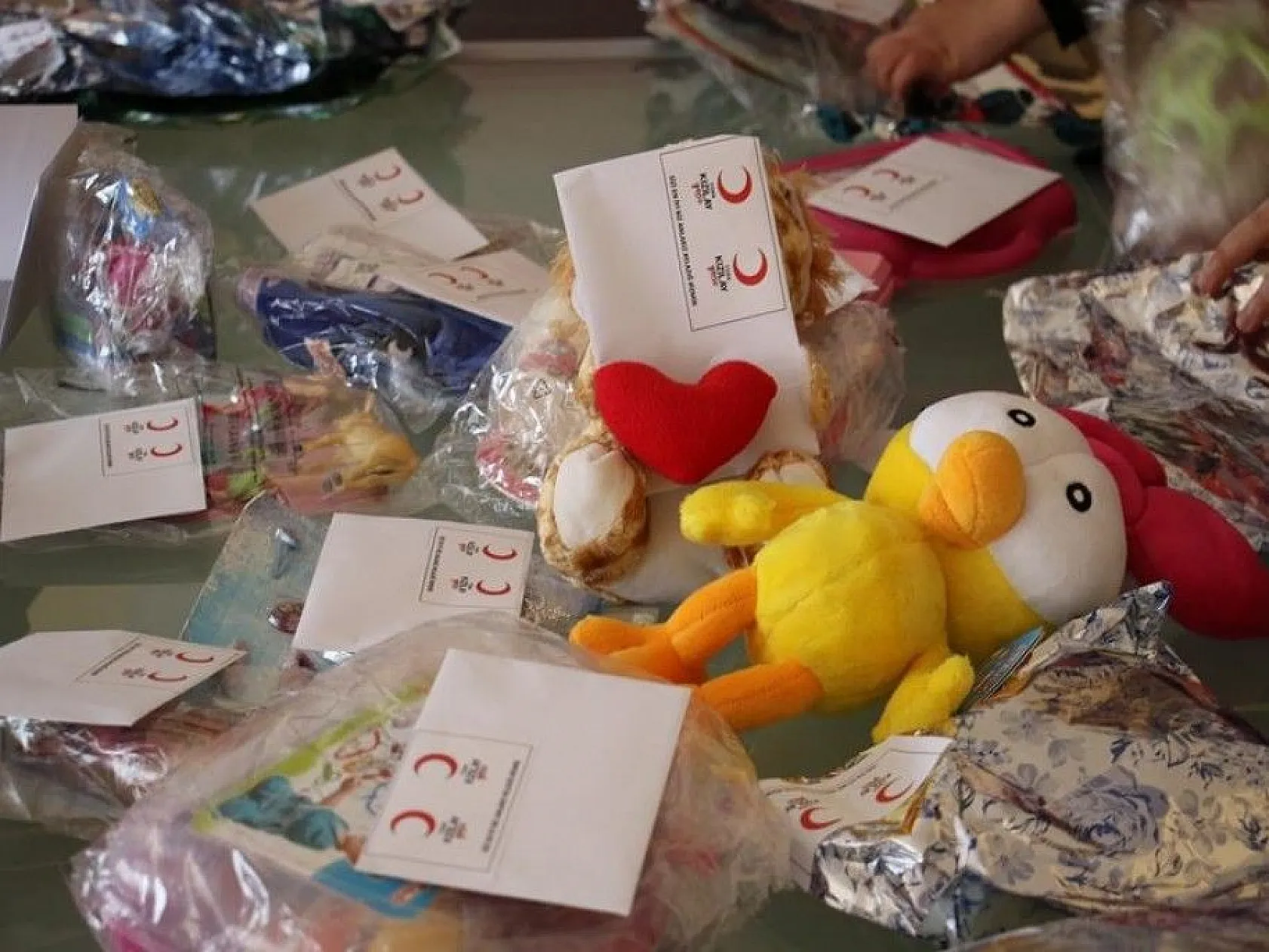 Elazığ'da depremi yaşayan çocuklardan İzmirli akranlarına mektup