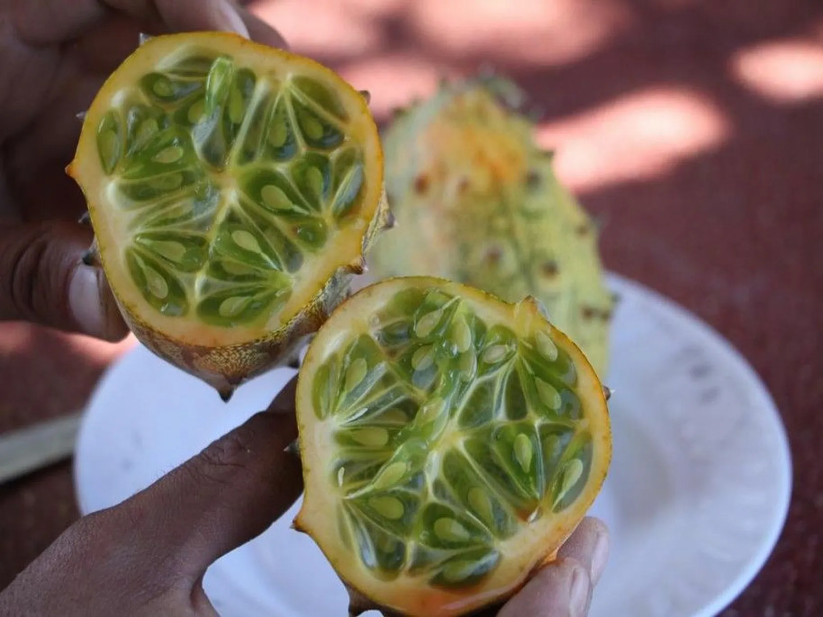 Bölgede ilki başardı, tropik Afrika meyvesi olan Kivano'yu yetiştirdi