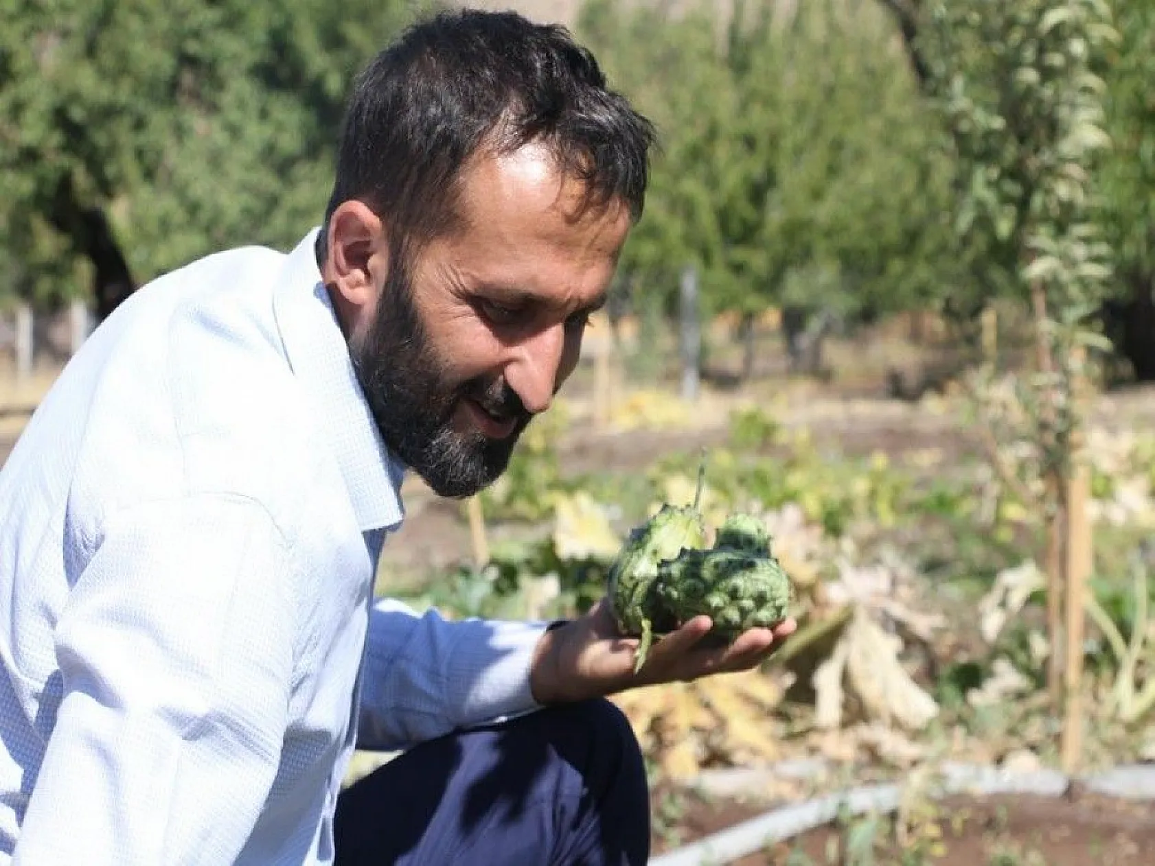 Bölgede ilki başardı, tropik Afrika meyvesi olan Kivano'yu yetiştirdi