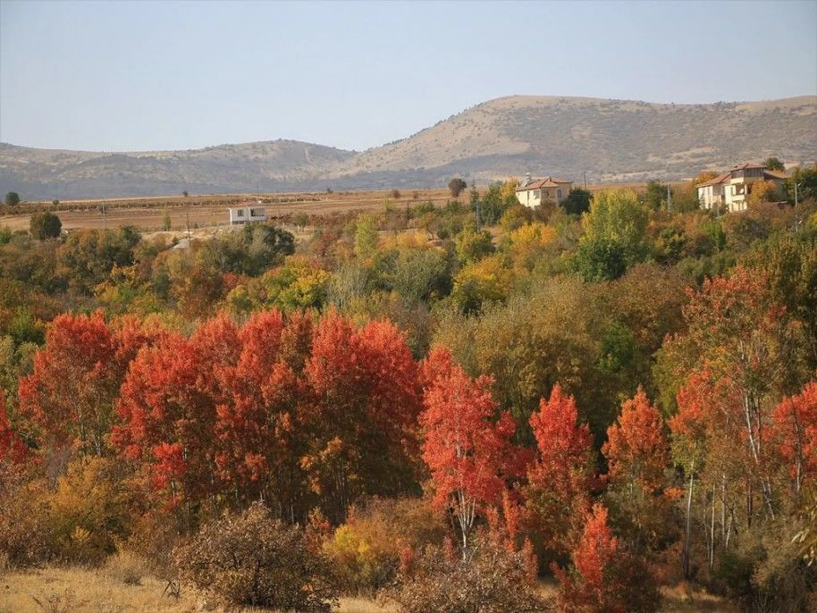 Elazığ'da sonbaharda rengarenk olan ağaçlar havadan görüntülendi