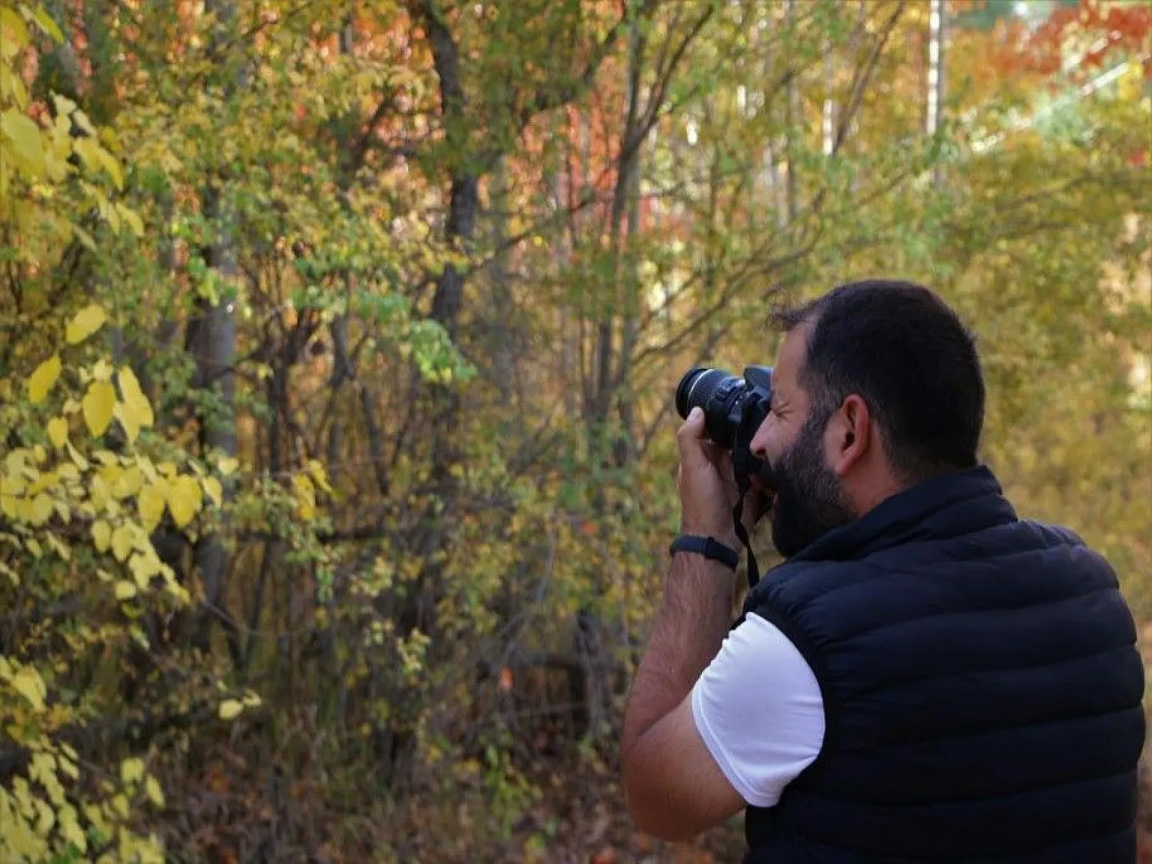 Elazığ'da sonbaharda rengarenk olan ağaçlar havadan görüntülendi