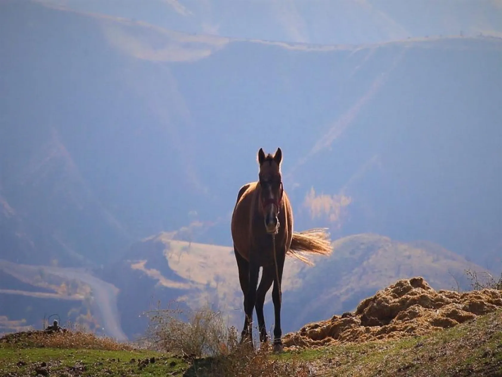 7 bin yıllık tarihi ile birçok medeniyete ev sahipliği yapan Palu, ziyaretçilerini bekliyor