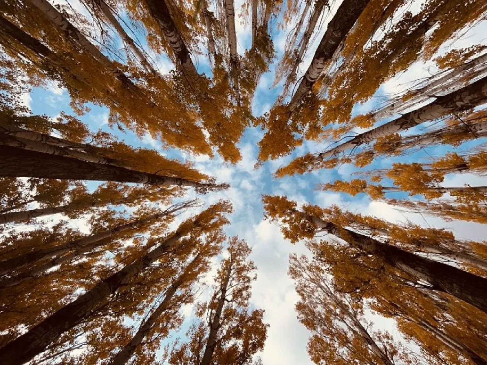 Doğunun gizli denizi Hazar Gölü'nde sonbahar güzelliğiyle kartpostallık görüntüler