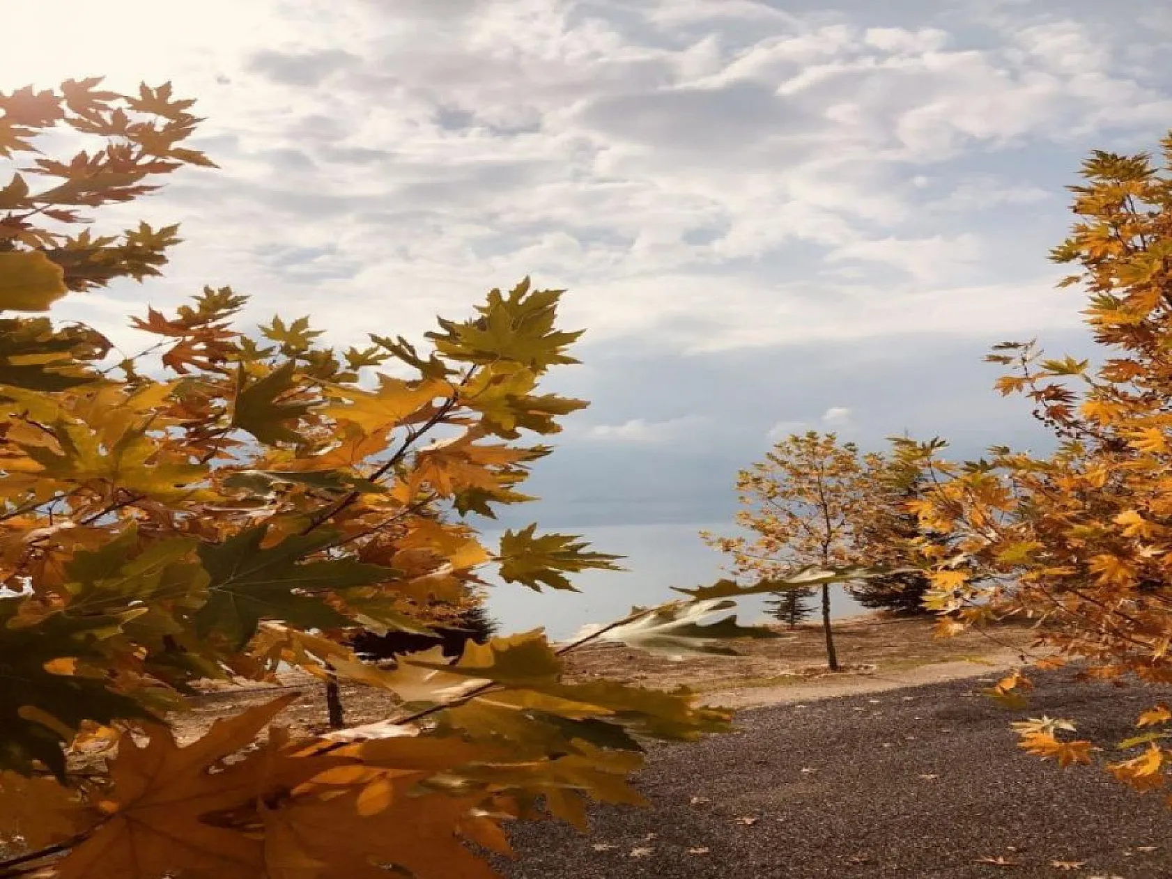 Doğunun gizli denizi Hazar Gölü'nde sonbahar güzelliğiyle kartpostallık görüntüler