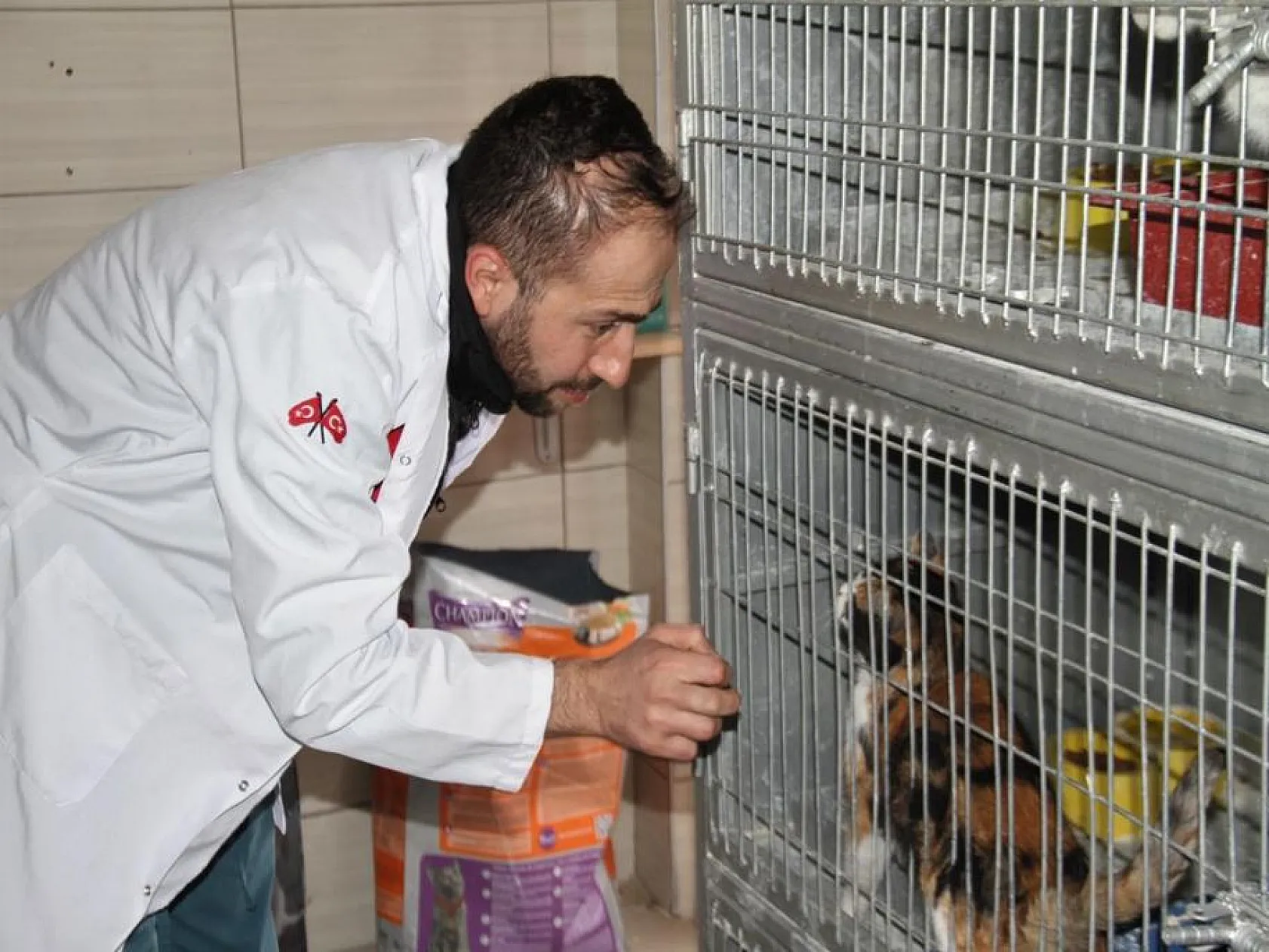 Elazığ Belediyesinden sokak hayvanları için 5 yıldızlı otel konforu