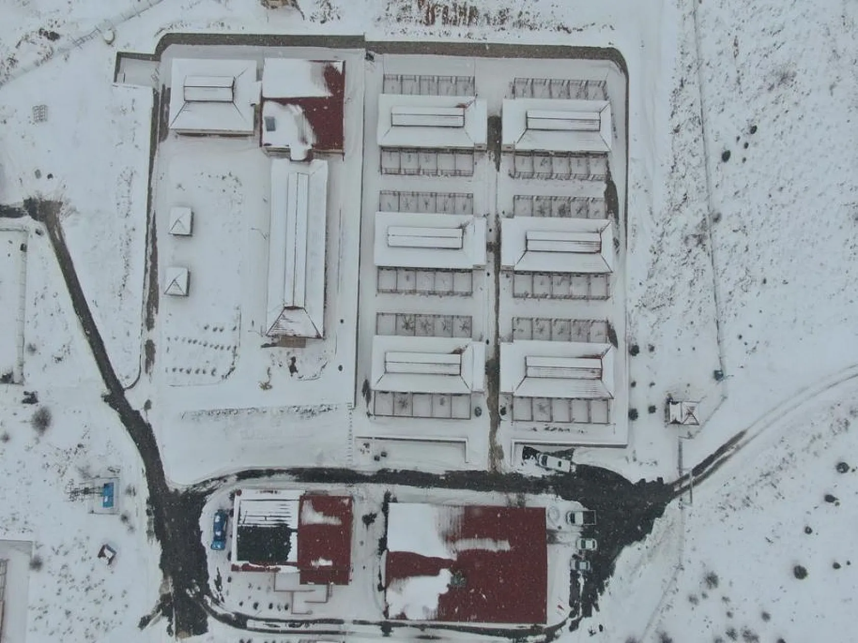 Elazığ Belediyesinden sokak hayvanları için 5 yıldızlı otel konforu