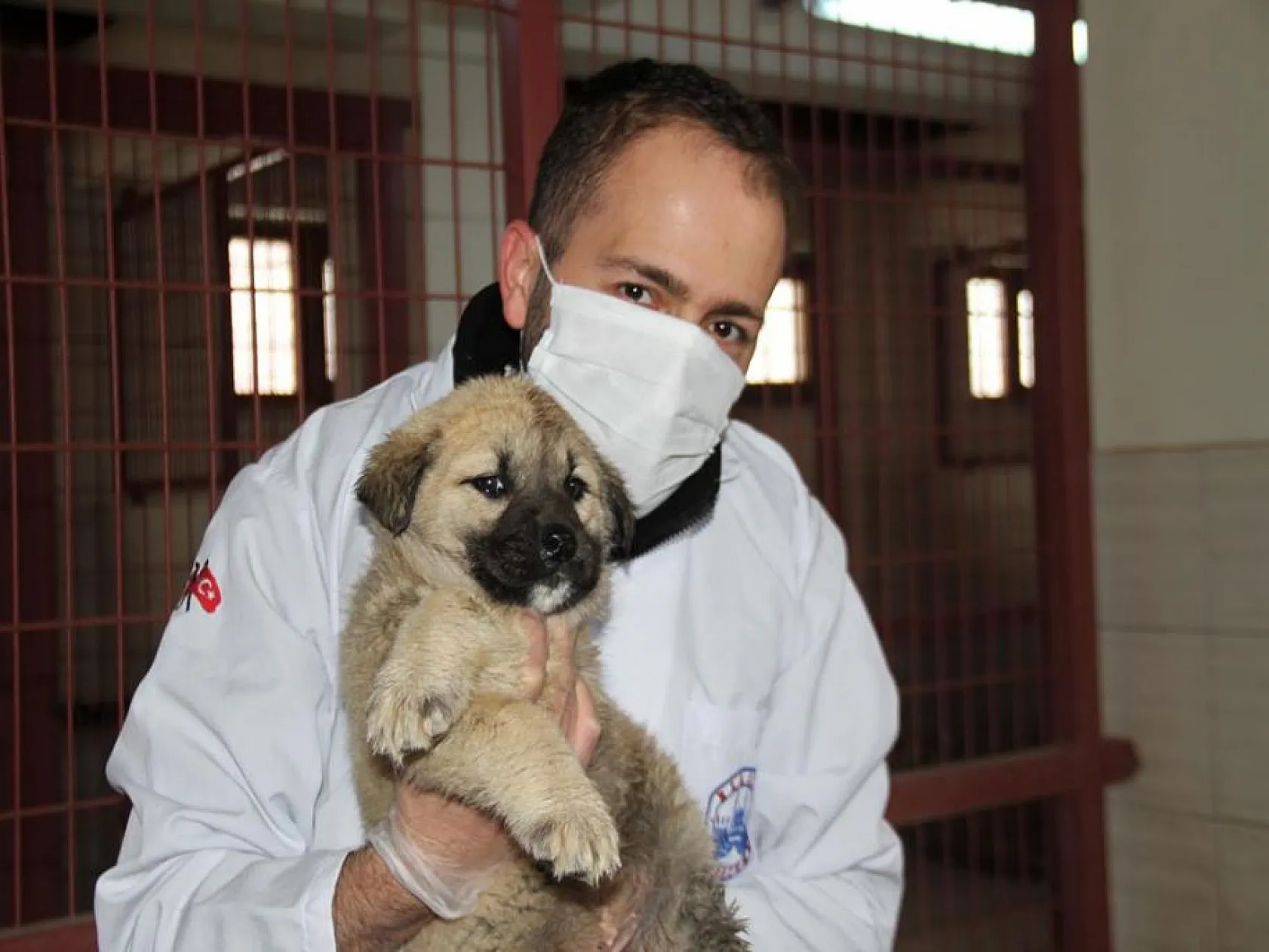Elazığ Belediyesinden sokak hayvanları için 5 yıldızlı otel konforu