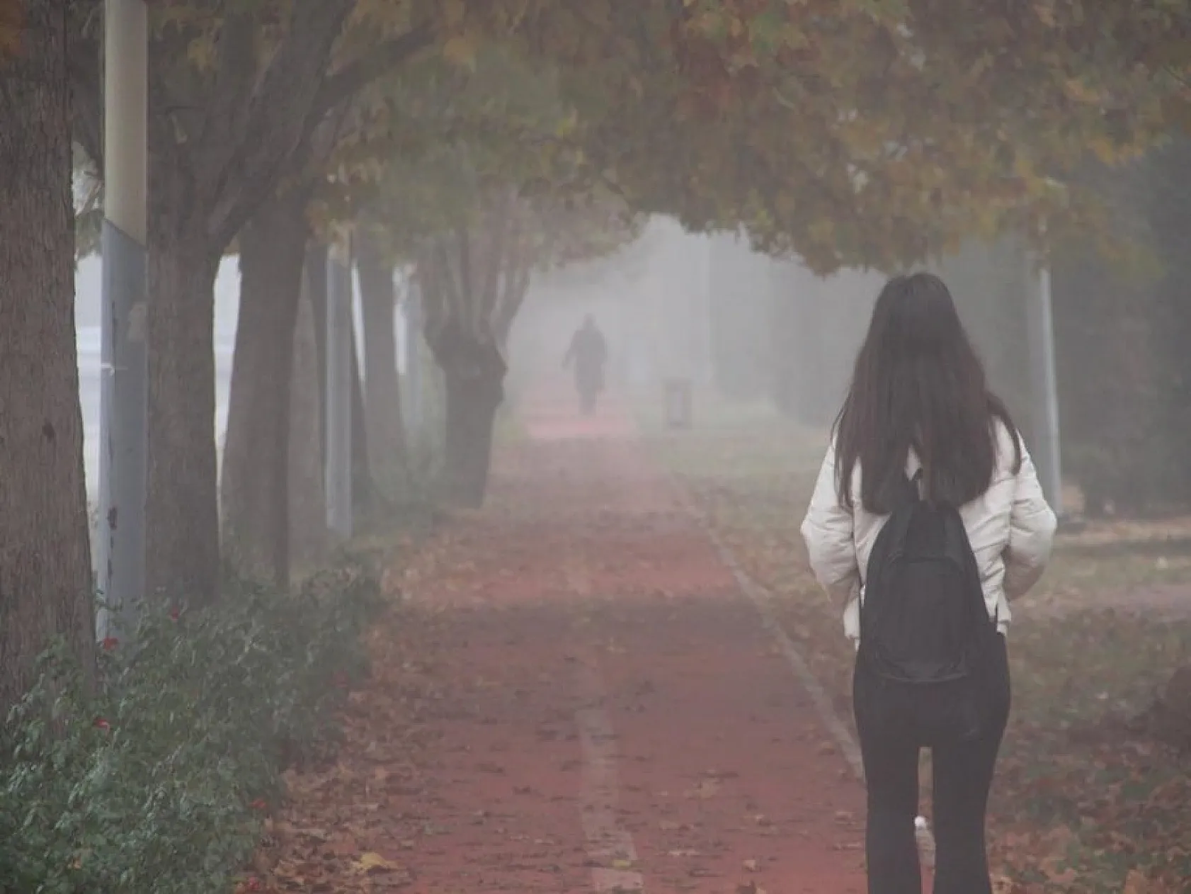 Elazığ'da sis ile sonbaharın buluşması doyumsuz, keyifli görüntüler oluşturdu