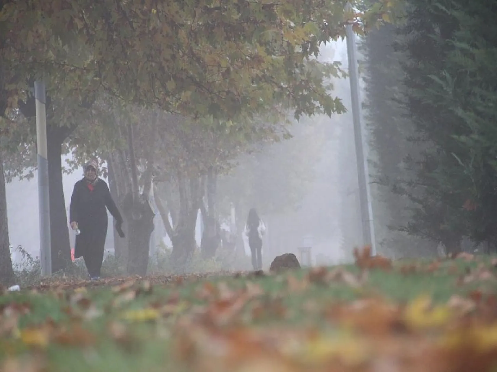 Elazığ'da sis ile sonbaharın buluşması doyumsuz, keyifli görüntüler oluşturdu