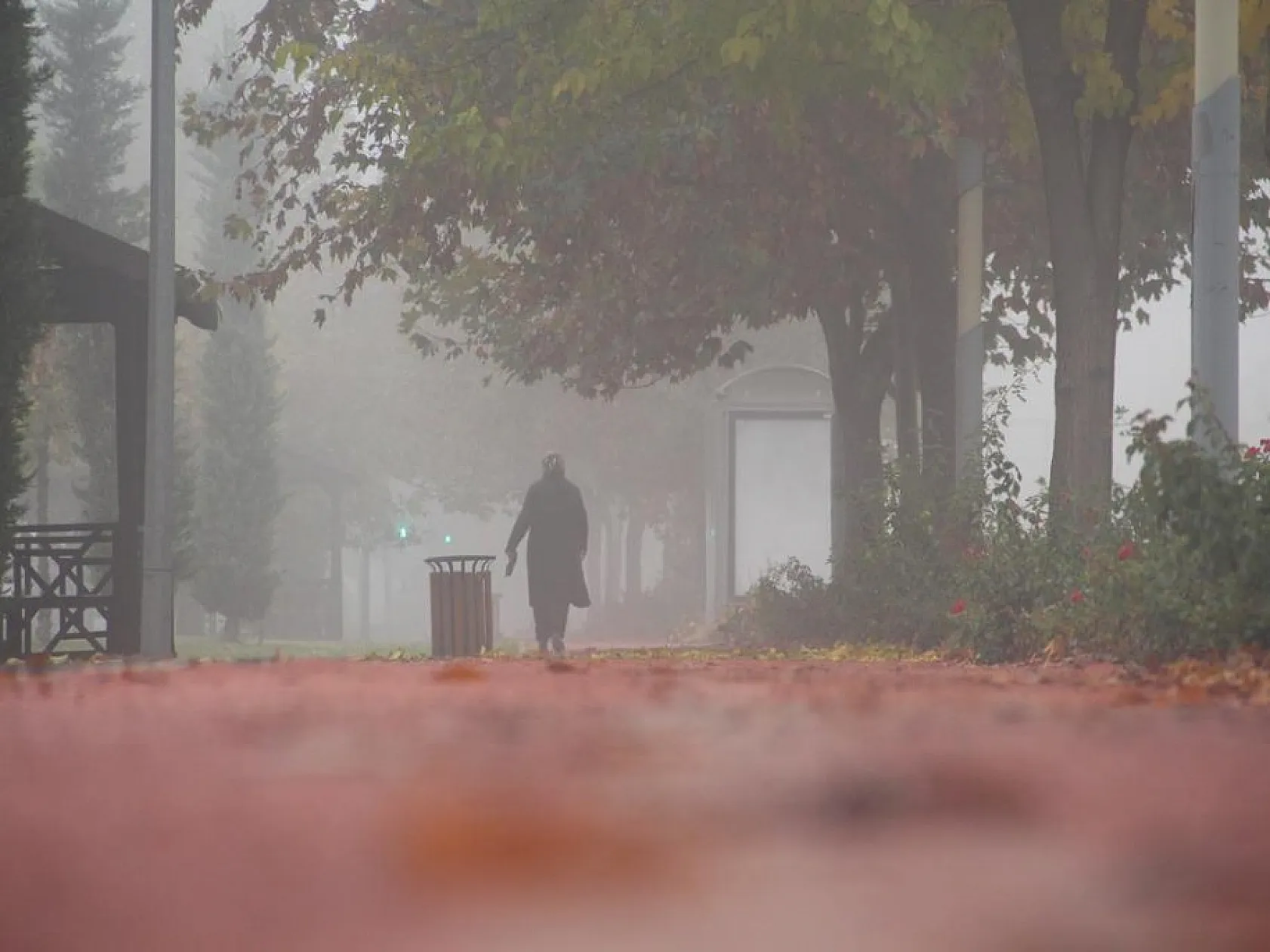Elazığ'da sis ile sonbaharın buluşması doyumsuz, keyifli görüntüler oluşturdu