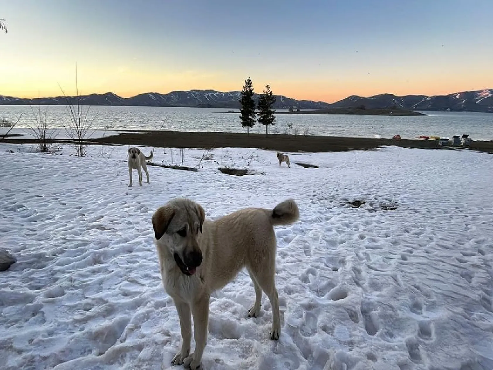Elazığ Hazar Gölü doğal güzelliğiyle yılın on iki ayı ziyaretçilerini ağırlıyor