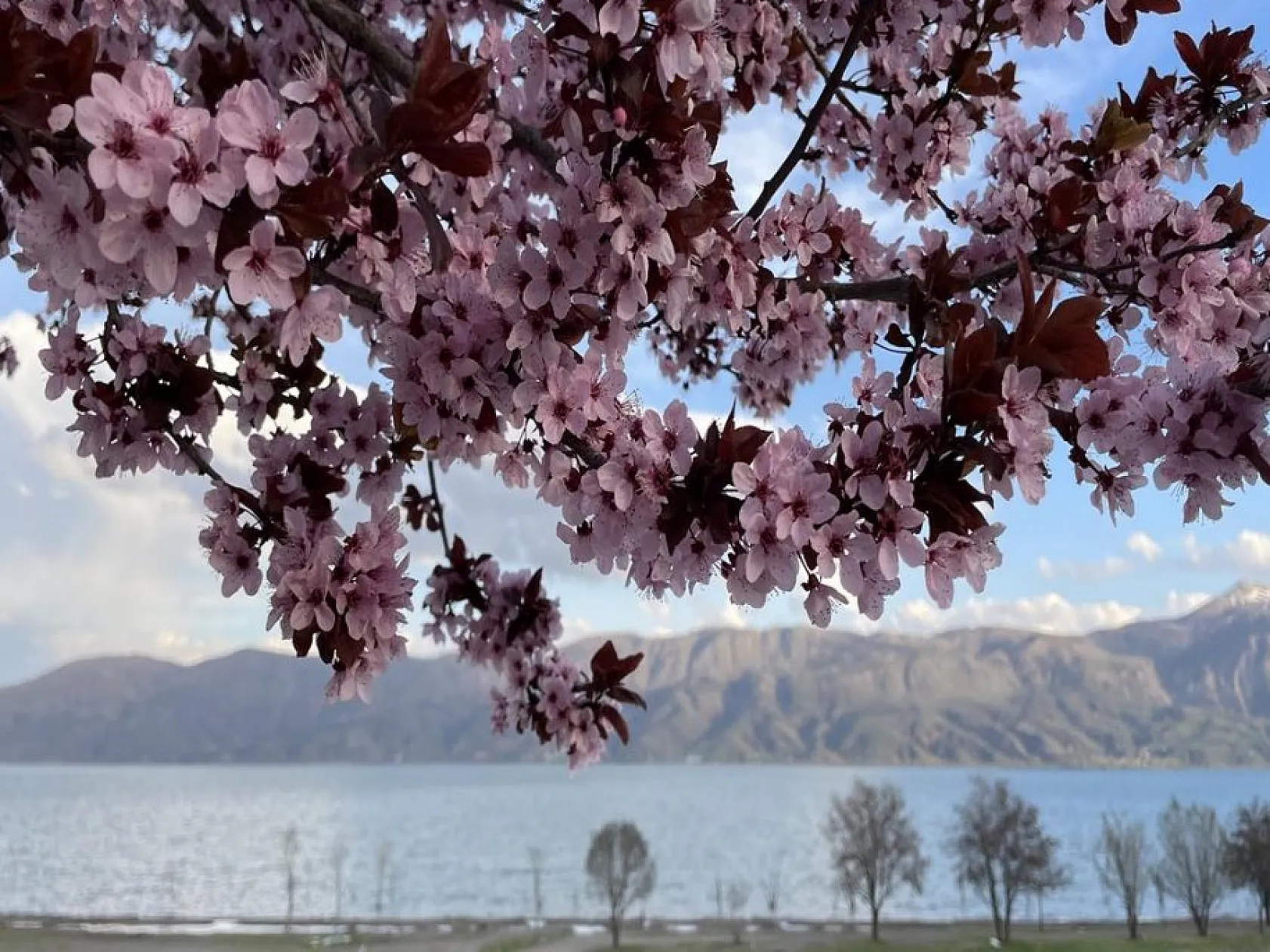 Doğuda tatilcilerin gözdesi Hazar Gölü doğal güzelliğiyle bayrama hazır