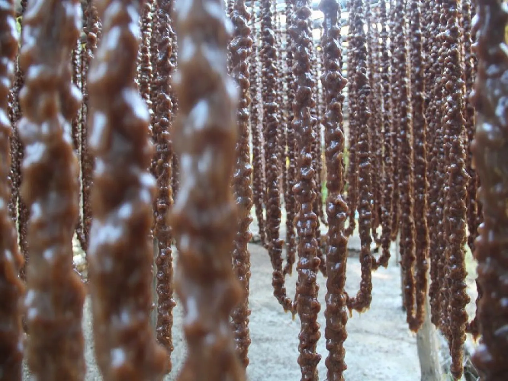 Elazığ'ın tescilli lezzeti 'orcik' için mesai başladı