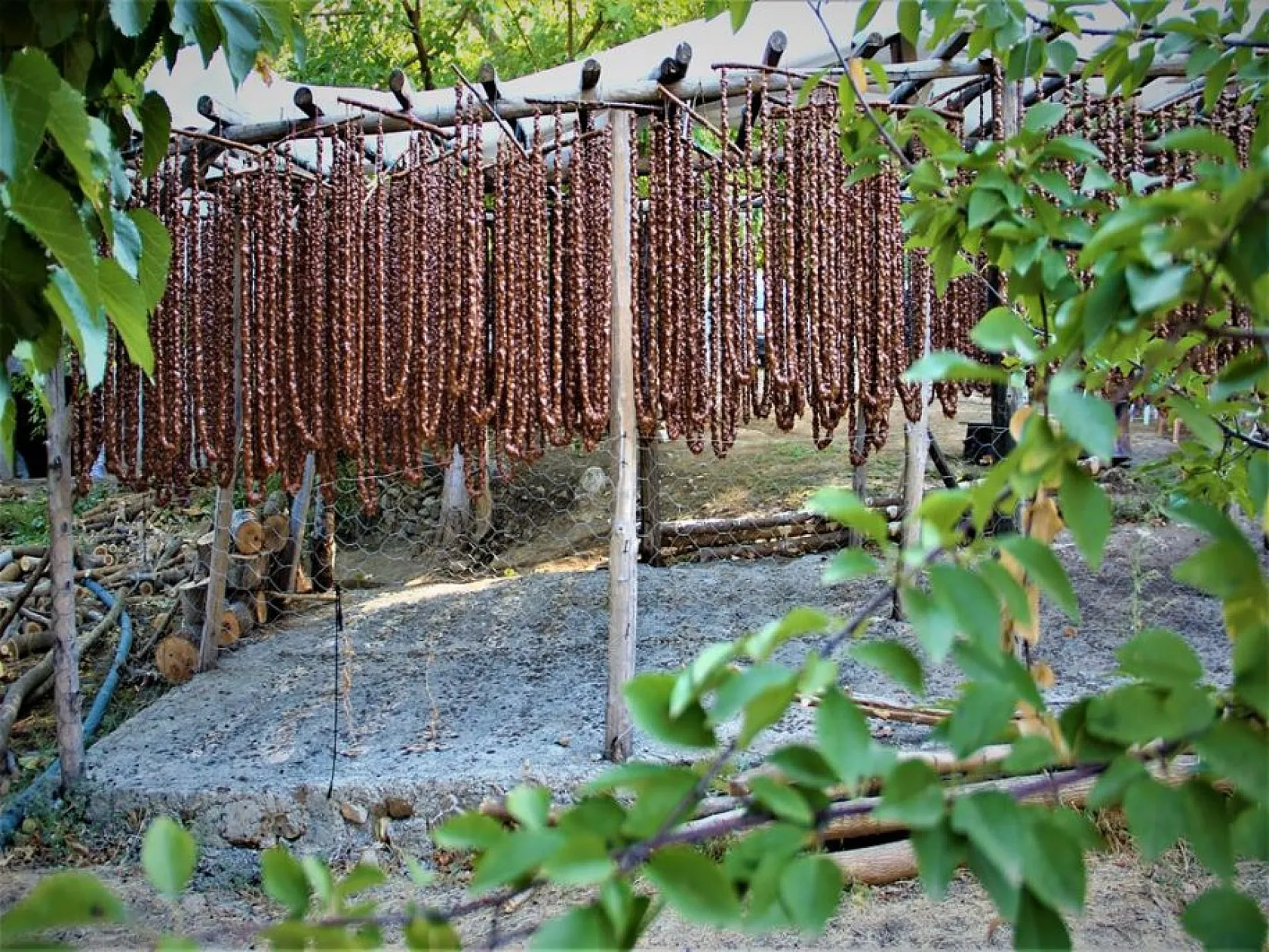 Elazığ'ın tescilli lezzeti 'orcik' için mesai başladı