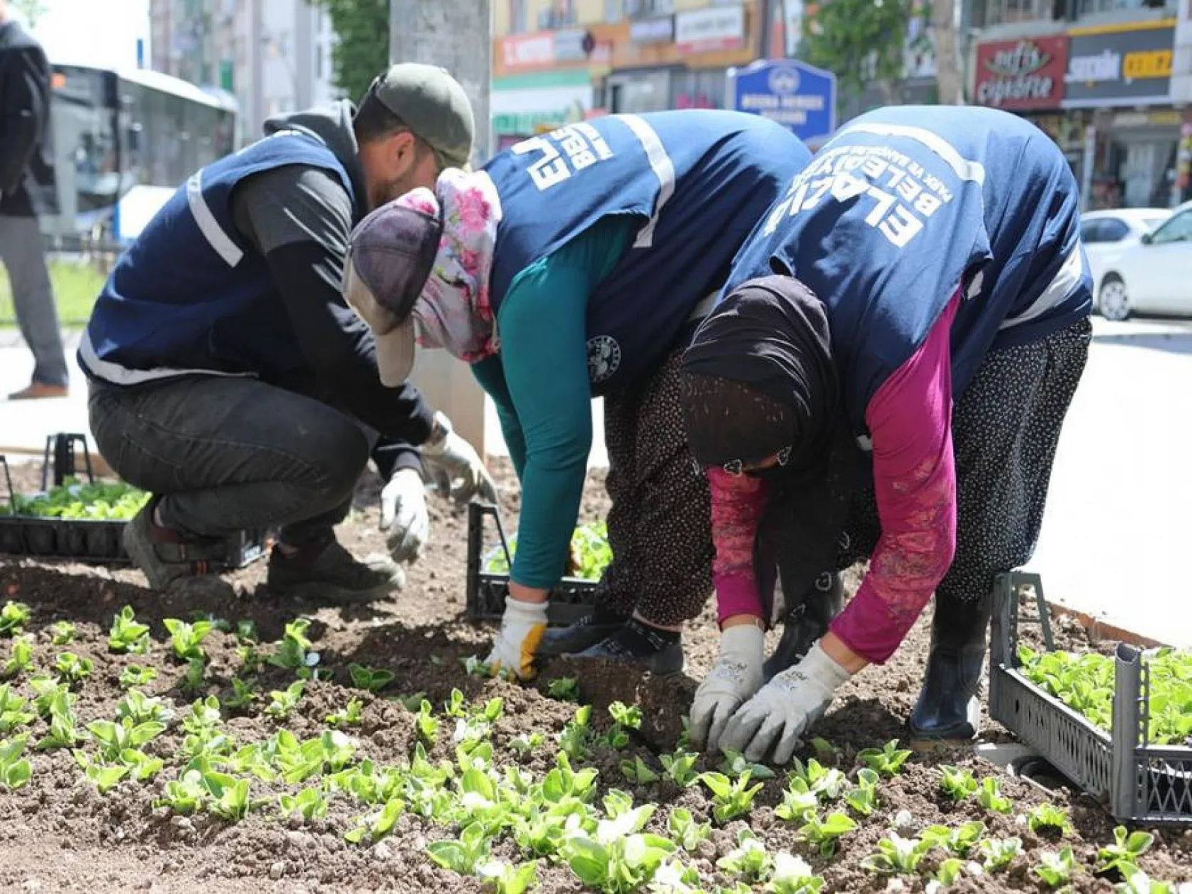 Elazığ, kadın eliyle güzelleşiyor