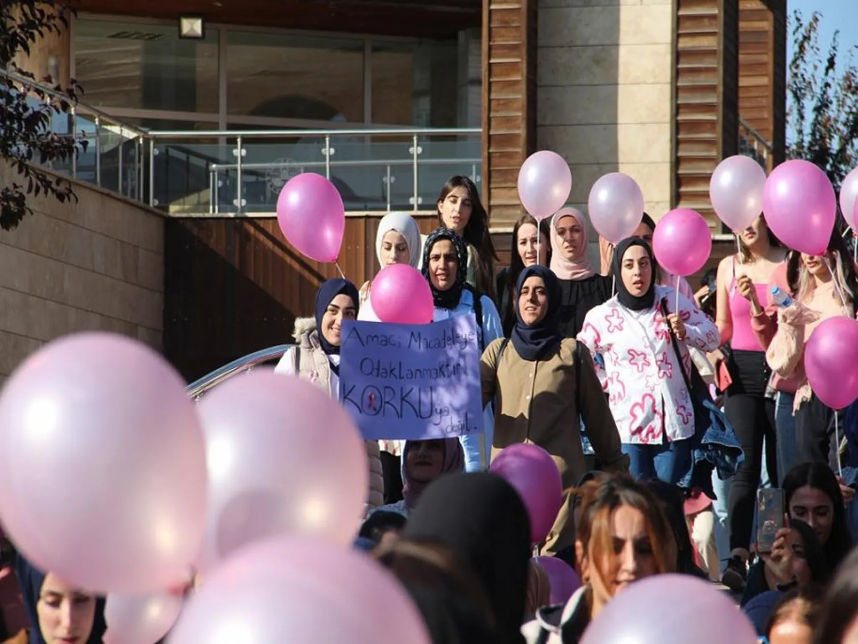Elazığ'da 'Meme Kanseri Farkındalık' yürüyüşü