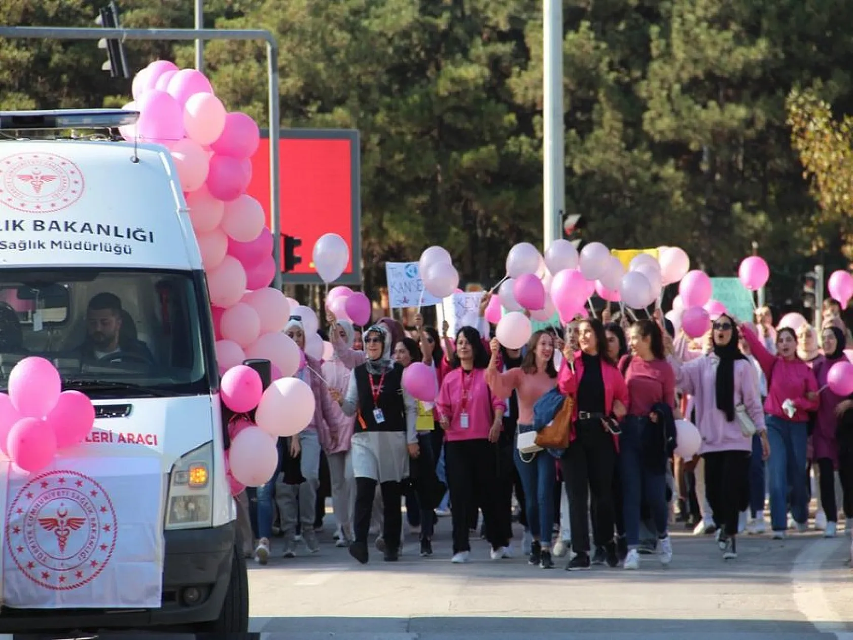 Elazığ'da 'Meme Kanseri Farkındalık' yürüyüşü